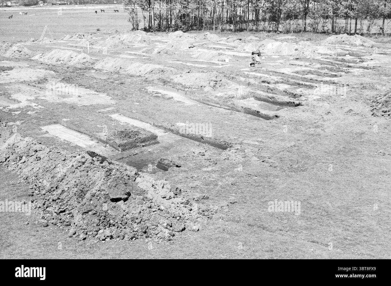 Archäologische Ausgrabung Liewegje Ausgrabungen Haarlemmerliede Liewegje, Whizgle News, Dutch Desk, Niederlande, 1950 - 2000 am 26-05-1987. Diese Themen sind in der Abbildung dargestellt. Die Szene zeigt eine weitläufige Ausgrabungsstätte, die durch mehrere rechteckige Umrisse gekennzeichnet ist, die in die Erde eingegraben wurden. Diese Umrisse deuten auf die Überreste von Fundamenten oder Strukturen hin, die teilweise durch den Grabprozess aufgedeckt wurden. Der Boden um die ausgegrabenen Gebiete herum ist eine Mischung aus brauner Erde und grasbewachsener Vegetation, was auf die Störung des Bodens hindeutet. Im Hintergrund unterstreicht eine Linie von Bäumen den periph Stockfoto