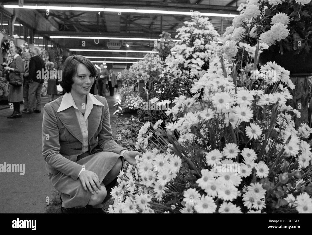 Lady with Flowers..., Whizgle News, Dutch Desk, Niederlande, 1950 - 2000. Dies sind die Elemente im Bild. Auf einem geschäftigen Marktplatz voller lebendiger Leben kniet eine Frau nahe an einer Vielzahl blühender Blumen und fängt das Wesen einer lebendigen Blumenausstellung ein. Sie trägt einen stilvollen, maßgeschneiderten Anzug, der sich durch eine helle Bluse unter einer dunkleren Jacke auszeichnet, die ihren klassischen Retro-Look ergänzt. Ihr Haar ist in sanften Wellen gestylt und umrahmt ihr Gesicht sanft, während sie sich auf die Blumen konzentriert. Um sie herum befinden sich Gänseblümchen mit hellen weißen Blüten und fröhlicher gelber Mitte Stockfoto