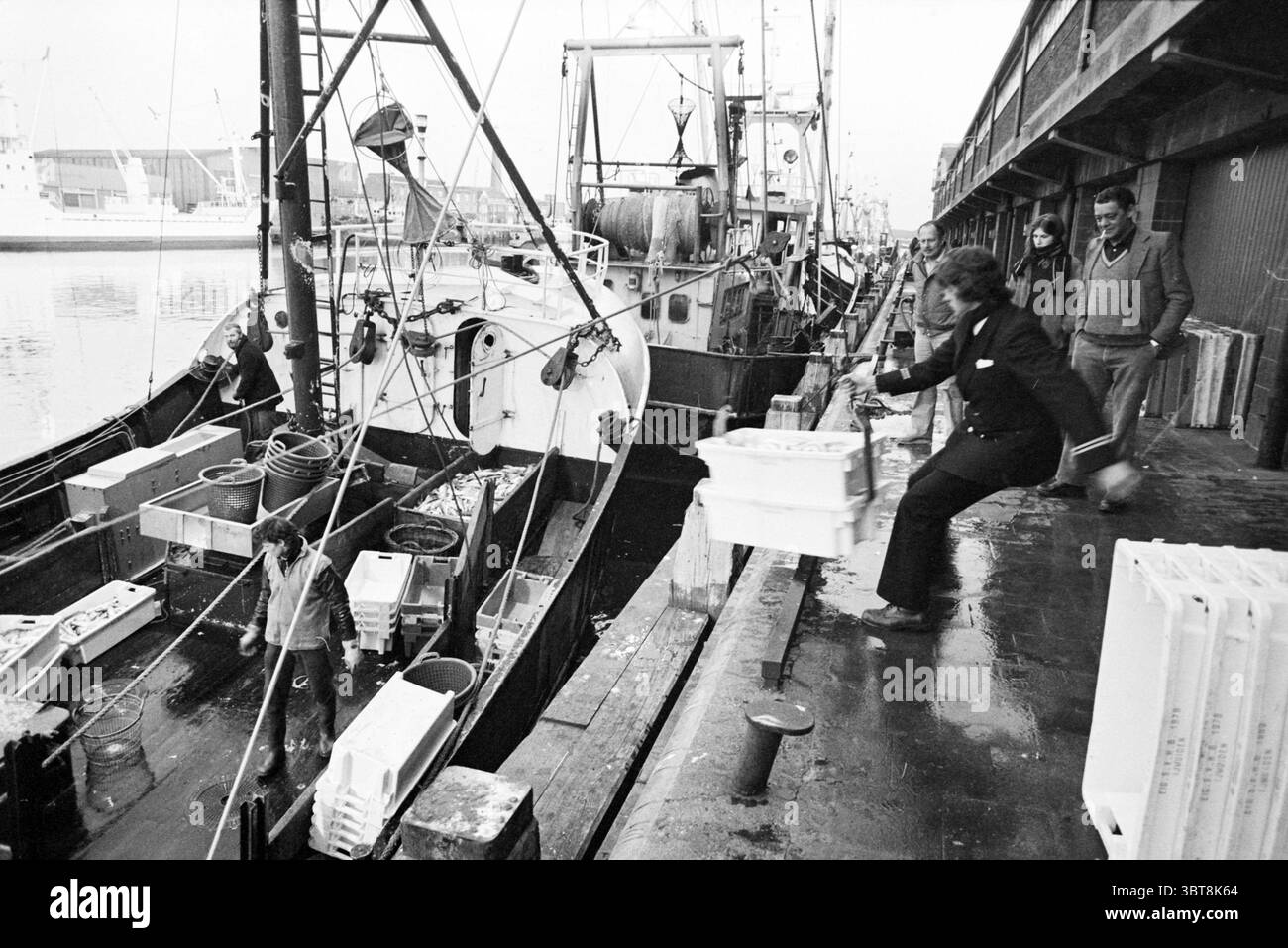 Fischauktion IJmuiden Fisheries and Other Fischhändler Fischen IJmuiden the Netherlands, Whizgle News, Dutch Desk, Niederlande, 1950 - 2000 am 28-04-1981. Diese Themen sind in der Abbildung dargestellt. Die Szene entfaltet sich in einem belebten Hafen, der durch die Anwesenheit verschiedener Boote gekennzeichnet ist, einige mit hohen Masten und andere kompaktere. Die Schiffe scheinen verwittert zu sein, was auf eine lange Geschichte der maritimen Aktivität hindeutet. Im Vordergrund sind mehrere Personen mit der Arbeit an Entladekisten beschäftigt. Eine Frau sticht heraus, mitten im Geschehen, als sie geschickt eine weiße Kiste auf das Dock wirft, ihre Form dynamisch und ex Stockfoto