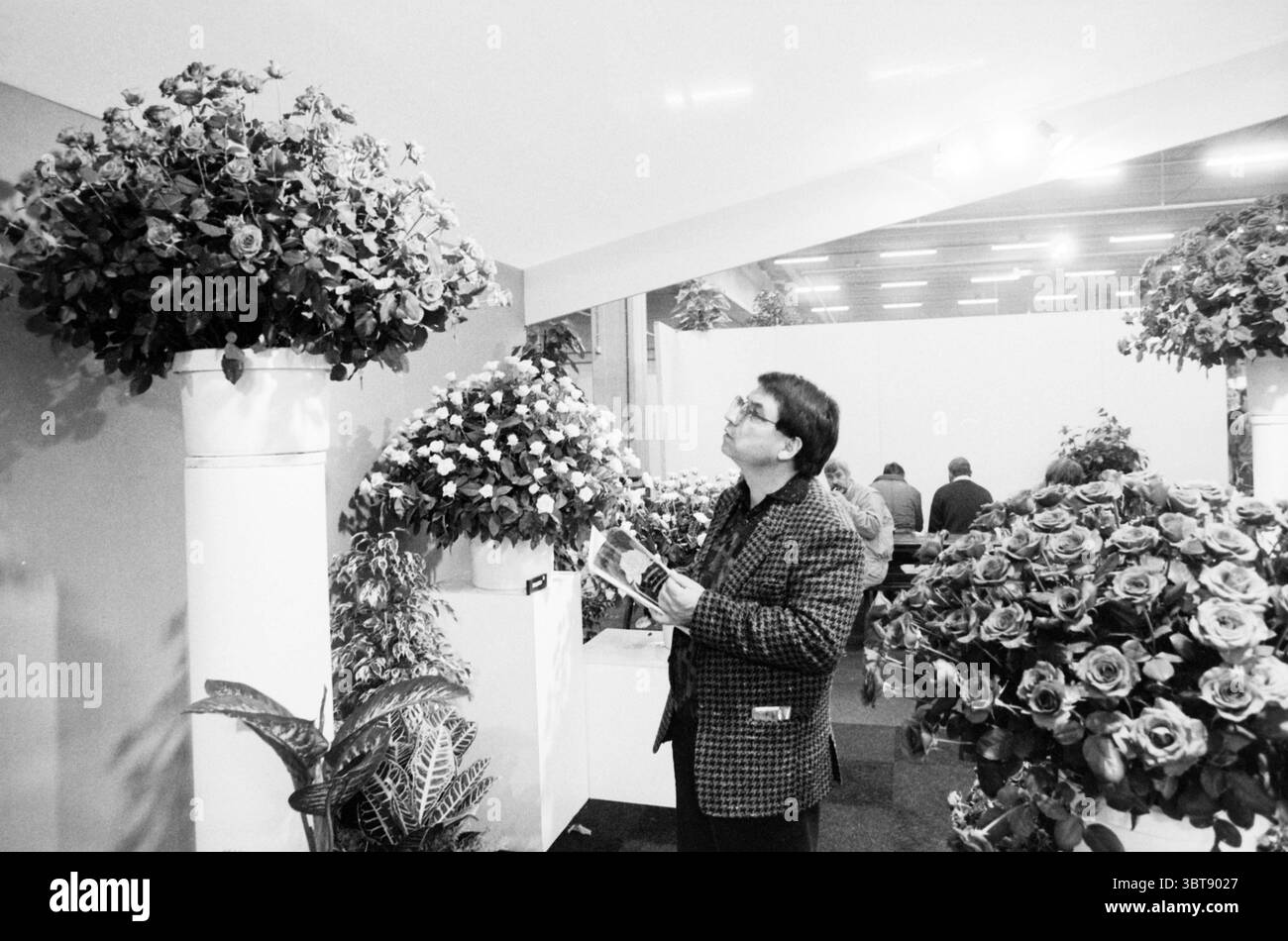 Aalsmeer Flower Auction Flower Trade Ausstellung Blumen und Blumenmädchen Auktion Aalsmeer, Whizgle News, Dutch Desk, Niederlande, 1950 - 2000 am 06-11-1987. Diese Themen sind in der Abbildung dargestellt. Die Szene präsentiert eine geschäftige Blumenausstellung mit einer Vielzahl von lebendigen Blüten. Große, üppige Arrangements dominieren den Raum mit Blumen aus hohen, zylindrischen Vasen in verschiedenen Rosa-, Rot- und Weißtönen. Die Blüten erscheinen akribisch angeordnet, ihre Blütenblätter weich und zart, laden zur Bewunderung ein. Im Vordergrund untersucht ein Mann eine der Displays genau, seinen Ausdruck Stockfoto