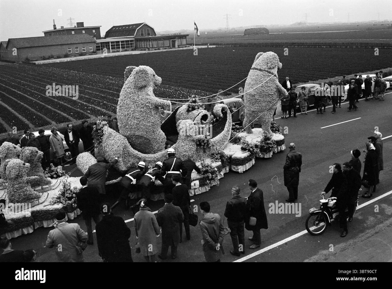Blumenparade 1965 Blumenfestival Parade Mosaic Queen, Whizgle News, Dutch Desk, Niederlande, 1950 - 2000 am 24-03-1965. Diese Themen sind in der Abbildung dargestellt. Die Szene zeigt eine lebhafte Parade mit aufwändig gestalteten, mit Blumen verzierten Wagen, die beeindruckende Blumenskulpturen zeigen, die Tieren, möglicherweise Bären, ähneln, die in verspielten Mätzchen verwickelt sind. Diese Figuren dominieren den Vordergrund und erregen mit ihren lebendigen, aber monochromen Blumenarrangements, die sich im Kontrast zum dunklen Hintergrund befinden. Um diese Skulpturen herum gibt es eine Menge von Zuschauern, von denen viele formell oder halb-fo gekleidet sind Stockfoto