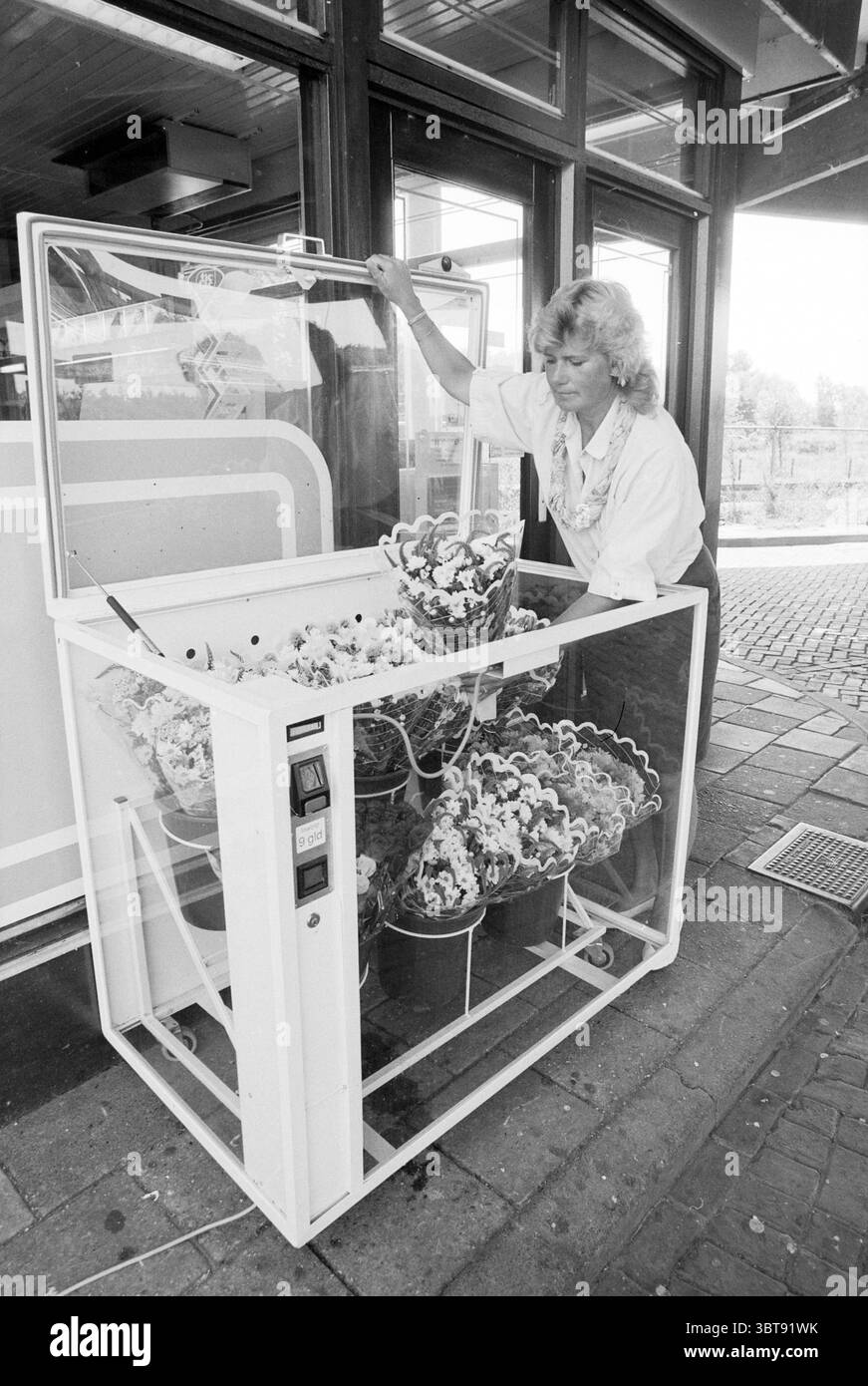 Blumenautomat in Shell Station, Whizgle News, Dutch Desk, Niederlande, 1950 - 2000 am 05-08-1991. Dies sind die Elemente im Bild. In der Szene befindet sich eine Frau neben einem klaren Glasvitrine, gefüllt mit verschiedenen bunten Sträußen. Sie scheint verlobt zu sein und lehnt sich leicht nach vorne, während sie die Blumen darin anordnet. Das Gehäuse selbst ist überwiegend weiß und zeigt lebendige, blühende Blüten wie Tulpen und Gänseblüten, deren Farben von hellen Gelb- und Rottönen bis hin zu weichen Rosa- und Violett reichen. Die Umgebung um sie herum hat einen leicht Retro-Vibe, gekennzeichnet durch sauberes l Stockfoto
