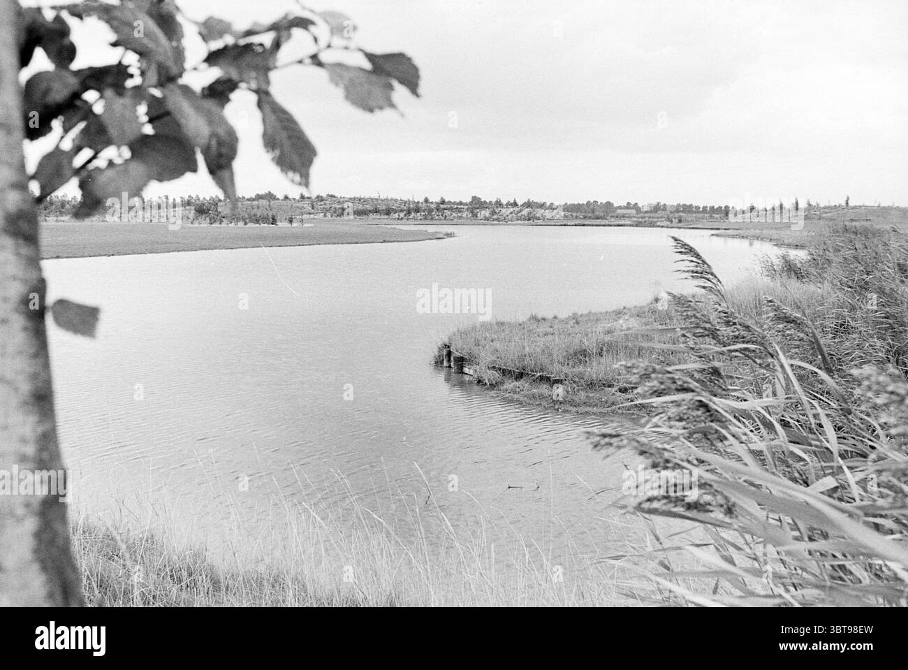 Teich in Haarlemmermeerbos H'dorp Ponds, Whizgle News, Dutch Desk, Niederlande, 1950 - 2000 am 20-09-1977. Das Bild enthält diese Themen. Die Szene entfaltet sich mit einem ruhigen Fluss, der sich durch eine Landschaft schlängelt, die von weiten Grasflächen und sanftem Laub geprägt ist. Das Wasser reflektiert einen gedämpften, grauen Himmel, der nahtlos mit der ruhigen Oberfläche verschmilzt und auf eine kühle Atmosphäre hindeutet. Üppiges Schilf schlängelt sich sanft am Ufer entlang, seine langen, schlanken Blätter verleihen der Szene Textur und Bewegung. An den Rändern erstrecken sich Grashalme nach außen und bilden einen natürlichen Rahmen um das Wasser. Stockfoto