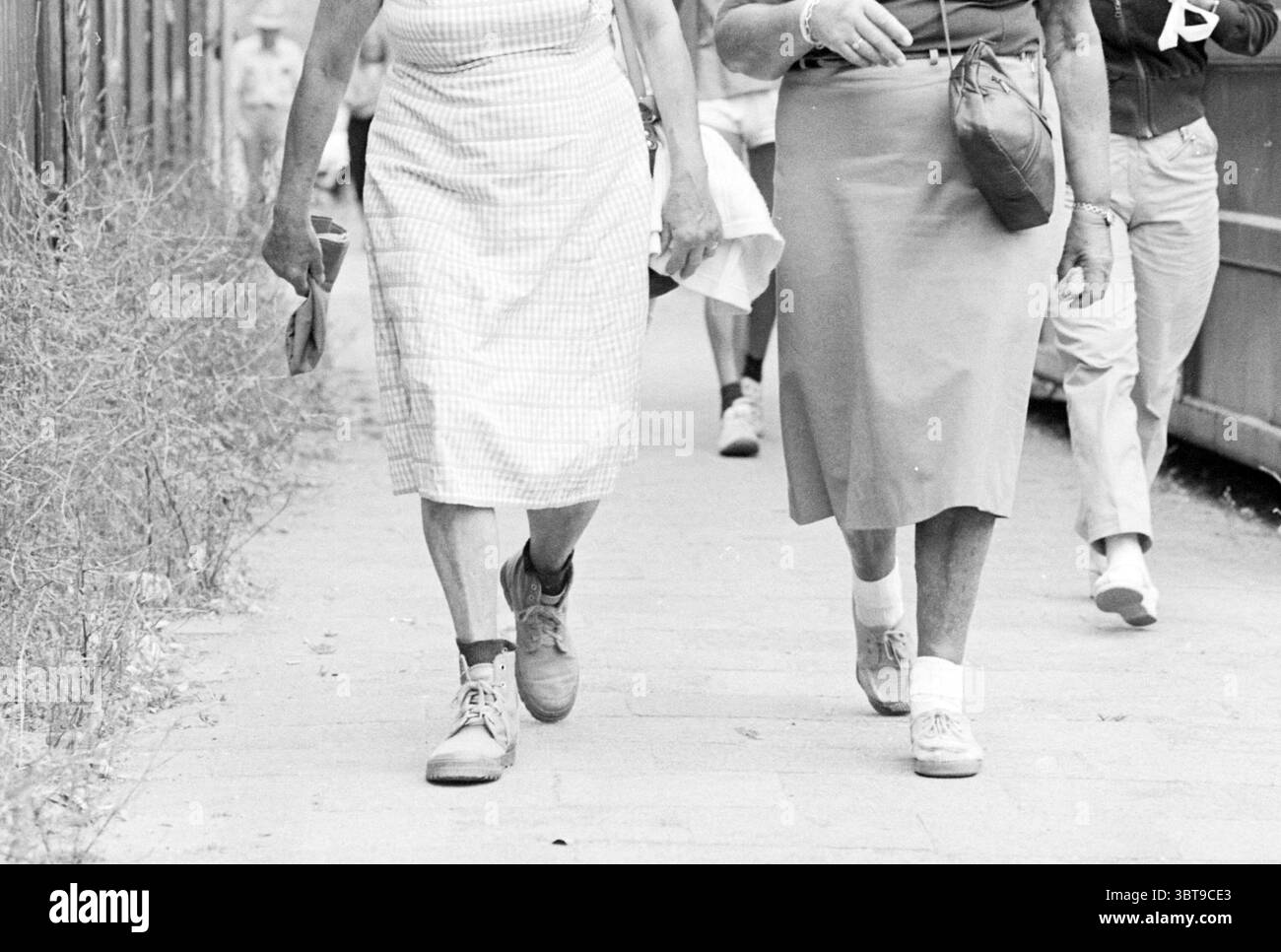 Vier Tage Nijmegen Walking, Whizgle News, Dutch Desk, Niederlande, 1950 - 2000 am 22-07-1983. Diese Themen sind in der Abbildung dargestellt. In einer lebhaften Umgebung im Freien gehen zwei Frauen Seite an Seite auf einem schmalen Pfad. Der Boden besteht aus einem glatten, hellen Stein, der die Wärme des Tages widerspiegelt. Auf beiden Seiten des Weges bieten wilde Gräser einen Hauch von natürlichem Grün, die sanft in der Brise wiegen. Die Frau auf der linken Seite trägt ein kariertes Kleid, überwiegend weiß mit einem weichen blauen Muster, das auf die Knie fällt. Ihr Schuhwerk besteht aus robusten Schnürschuhen, die bequem und prac wirken Stockfoto