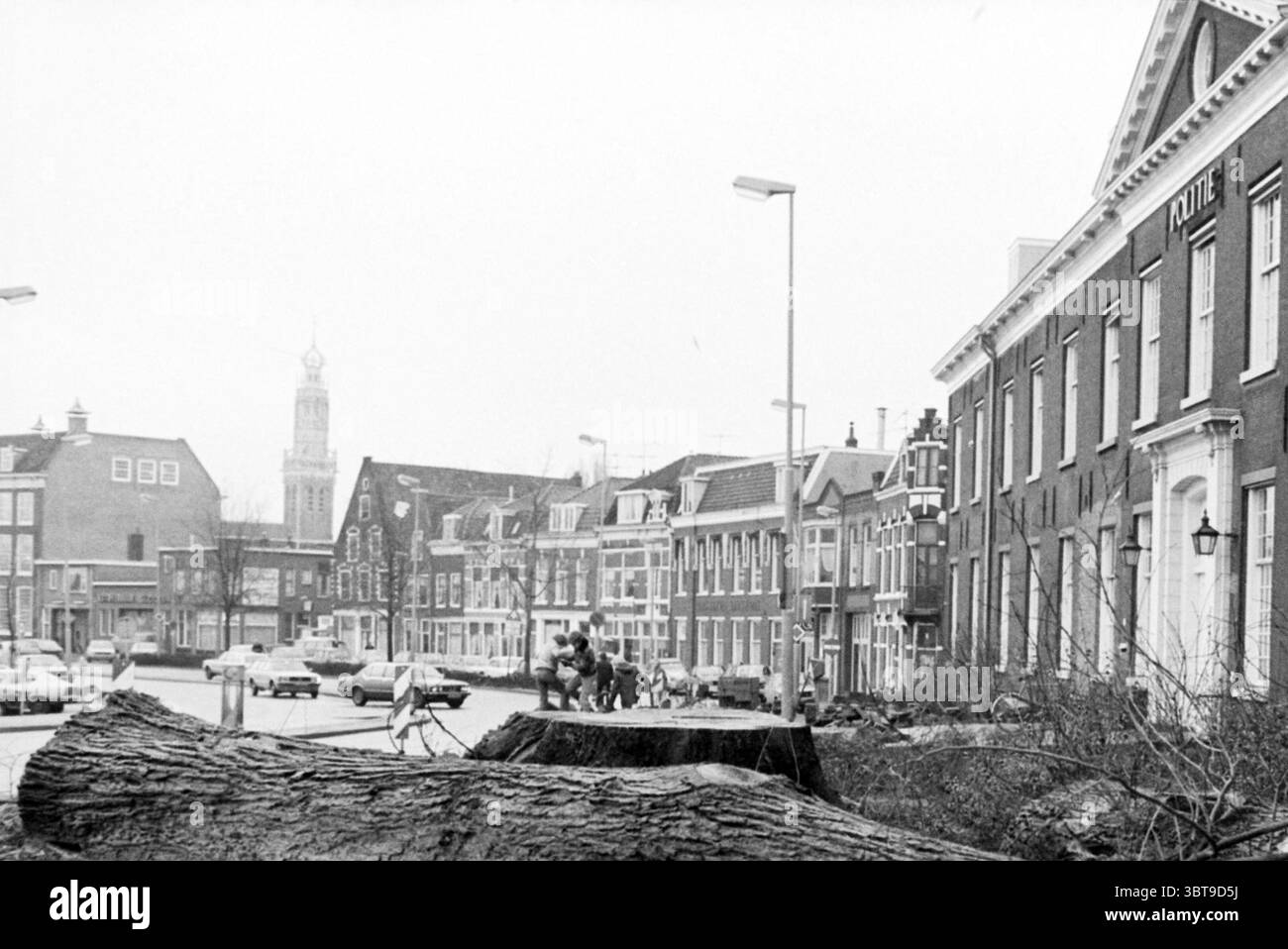 Gefällt Baum Polizeistation Trees, Whizgle News, Dutch Desk, Niederlande, 1950 - 2000 am 05-02-1980. Das Bild enthält diese Themen. Die Szene zeigt eine ruhige urbane Umgebung, die von einem bewölkten Himmel geprägt ist und der Umgebung einen gedämpften Grauton verleiht. Im Vordergrund dominiert ein großer, frisch geschnittener Baumstumpf die Sicht, dessen raue Oberfläche und innere Ringe sich von der Glätte des nahen Gehwegs abheben. Um den Stumpf herum befinden sich Reste von Baumschutt, die auf jüngste Landschaftsbauarbeiten hinweisen. Weiter hinten versammelt sich eine Gruppe von Personen auf dem Bürgersteig, die an Gesprächen oder Aktivitäten beteiligt sind Stockfoto