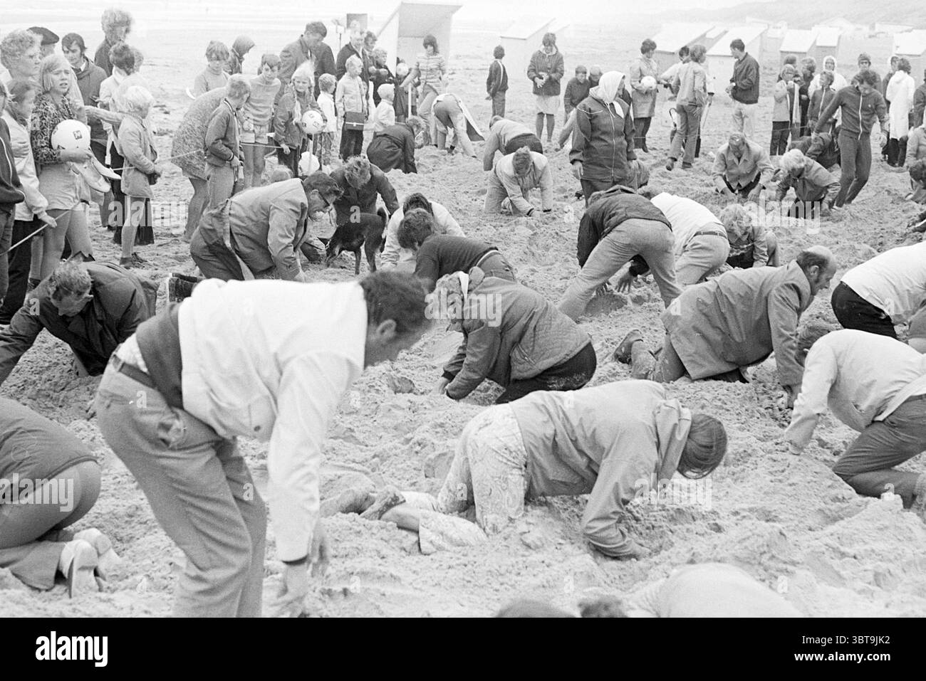 Schatzsuche Wijk aan Zee Ferienspiele Urlaubstage Ferienlager, Whizgle News, Dutch Desk, Niederlande, 1950 - 2000 am 29-07-1971. Das Bild enthält diese Themen. Die Szene zeigt eine geschäftige Sandstrandumgebung mit einer großen Anzahl von Menschen, die an einer Aktivität teilnehmen, die ihre volle Aufmerksamkeit auf sich zieht. Der Vordergrund wird von Menschen dominiert, die sich beugen, mit den Händen in den weichen, goldenen Sand getaucht sind und mit einem Gefühl der Dringlichkeit und Begeisterung graben. Die unterschiedlichen Haltungen der Teilnehmer spiegeln eine Mischung aus Konzentration und Spaß wider. Um sie herum hat sich eine Menge versammelt, einige Stockfoto