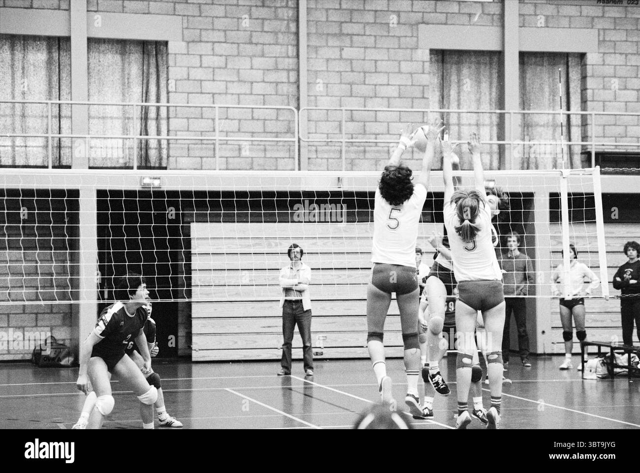 OVRA - Sarto Volleyball, Whizgle News, Dutch Desk, Niederlande, 1950 - 2000 am 02-05-1981. Das Bild enthält diese Themen. Die Szene zeigt ein Indoor-Volleyballspiel voller dynamischer Energie. Die Umgebung ist ein Fitnessraum, der durch eine hohe Decke und Wände aus Ziegelstein gekennzeichnet ist, die ein stabiles, klassisches Ambiente verleihen. Der Platz ist deutlich auf dem Boden mit hellen weißen Linien markiert, was den Fokus auf die Handlung verstärkt. Im Vordergrund springen zwei Spieler in passenden Uniformen in die Luft, ihre Körper sind angespannt, während sie versuchen, einen Ball zu blockieren. Die Uniformen sind Stockfoto