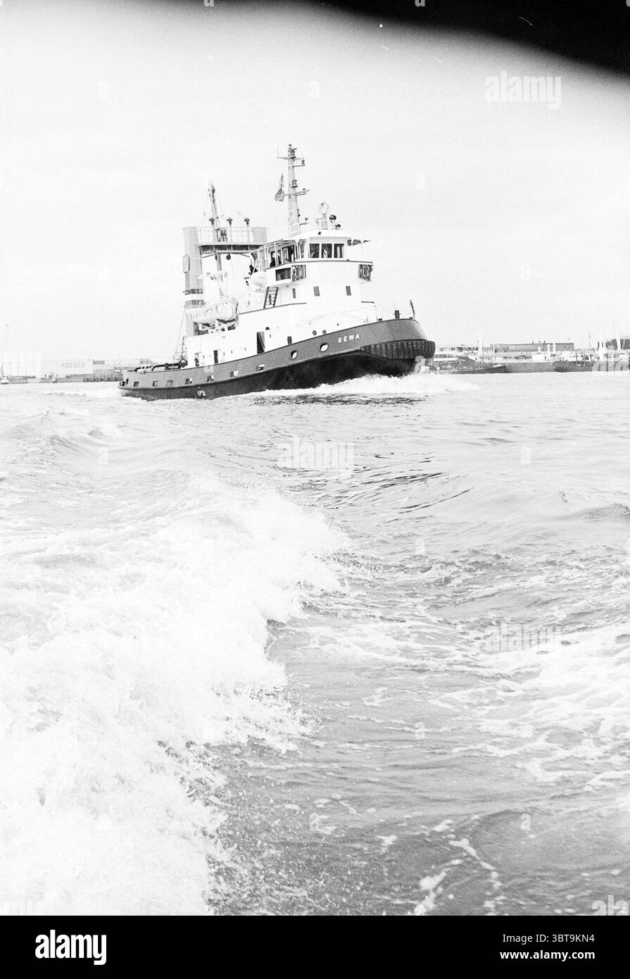 Das Schiff Sewa ist ein Schleppschiff. 1972 in Dienst, Whizgle News, Dutch Desk, Niederlande, 1950 - 2000 im Jahr 1972. Die Abbildung zeigt diese Themen. Die Szene zeigt einen Schlepper, der durch sanft plätscherndes Wasser navigiert. Der Schlepper ist in einer Kombination aus tiefem Schwarz und weiß lackiert und wird vor einem gedämpften, bedeckten Himmel umrahmt. Sein robuster, robuster Rumpf lässt ein Schiff für harte Arbeit vermuten. Das Boot ist leicht angewinkelt, wodurch eine dynamische Komposition entsteht, während es durch das Wasser schneidet und eine schaumige Spur hinterlässt. Rund um das Schlepper ist das Wasser eine Mischung aus sanften Grau- und Blautönen, die den Subdu reflektieren Stockfoto