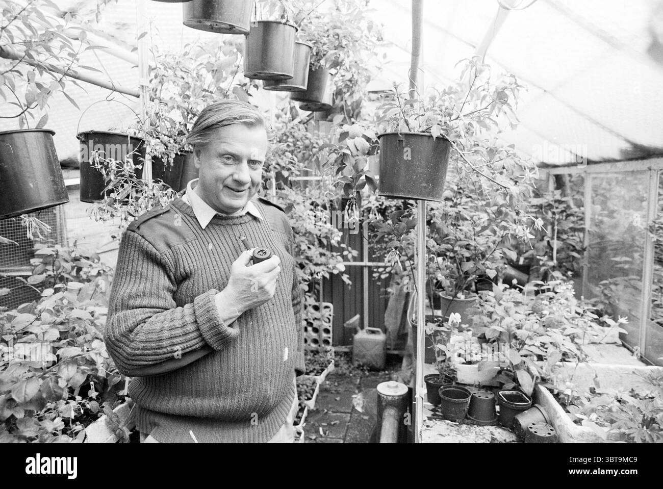Mr. De Graaf Fuchsia Freak Lisse öffentliche Gärten Pflanzen Sträucher Heisters Lisse, Whizgle News, Dutch Desk, Niederlande, 1950 - 2000 am 02-08-1989. Diese Themen werden in der Abbildung angezeigt. In einem lebendigen Gewächshaus mit einer Vielzahl von Grünpflanzen steht ein Mann zufrieden inmitten einer üppigen Ausstellung von Topfpflanzen. Er trägt einen kuscheligen Strickpullover, der der Szene Wärme verleiht. Sein Haar ist ordentlich gekämmt, und er trägt ein fröhliches Lächeln, was ein Gefühl von Stolz auf seine Umgebung andeutet. Das Gewächshaus selbst ist mit lichtdurchlässigen Paneelen strukturiert, durch die weiches, diffuses Licht gefiltert werden kann Stockfoto