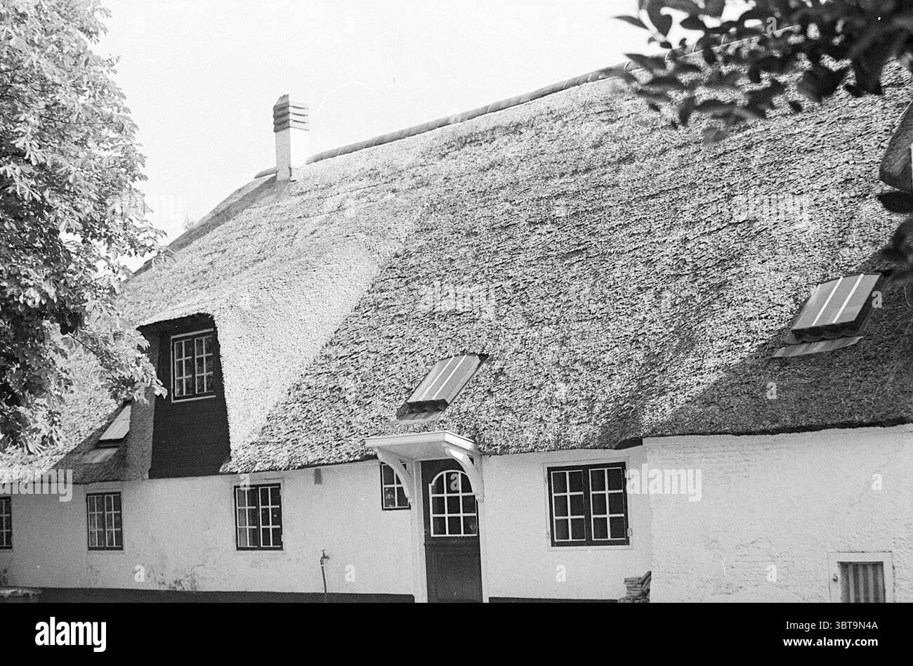 Weiße strohgedeckte „Farm“, Whizgle News, Dutch Desk, Niederlande, 1950 - 2000 im Jahr 1976. Das Bild enthält diese Themen. Die Szene zeigt ein bezauberndes Strohdach-Haus, das ein rustikales Ambiente ausstrahlt. Das Dach ist mit einer dicken Strohschicht geschmückt, die einen warmen, goldbraunen Farbton aufweist, der sich harmonisch mit den Erdtönen der umliegenden Landschaft verbindet. Die Wände des Gebäudes wirken größtenteils weiß, was einen klaren Kontrast zu den dunkleren Akzenten der Fensterrahmen und Tür bietet. Zwei kleine Fenster mit Holzläden befinden sich auf beiden Seiten der Tür; sie verleihen dem Hotel einen hübschen Touch Stockfoto