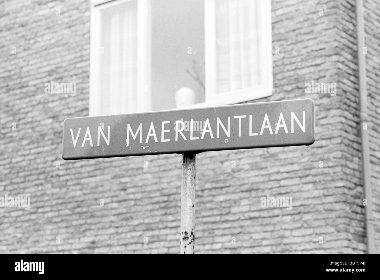 Straßenschild von Maerlantlaan Driehuis Borden Driehuis Van Maerlantlaan, Whizgle News, Dutch Desk, Niederlande, 1950 - 2000 am 15-03-1988. Das Bild enthält diese Themen. Die Szene wird von einem verwitterten Straßenschild dominiert, das trotz seines Alters aufrecht vor einem Hintergrund aus strukturiertem Mauerwerk steht. Die Ziegelsteine sind in Erdtönen gehalten und verleihen dem Ambiente eine rustikale Note. Über dem Schild sind große Fenster zu sehen, eingerahmt von einfachen weißen Vorhängen, die das Sonnenlicht filtern und ein weiches Licht in der Umgebung erzeugen. Das Schild selbst hat ein leicht verblasstes Aussehen mit abwechselnden Grautönen, W Stockfoto