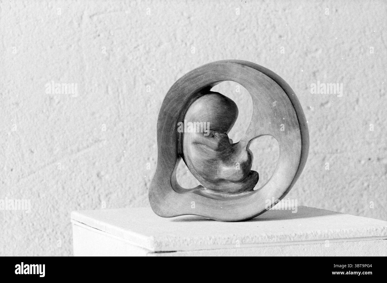 Skulptur Baby im Gebärmutter; Bild, Whizgle News, Dutch Desk, Niederlande, 1950 - 2000 am 06-1966. Diese Themen werden in der Abbildung angezeigt. Die Szene zeigt ein skulpturales Stück, glatt geschnitzt und eindrucksvoll in Form. Die Skulptur scheint einen Fötus zu repräsentieren, eingebettet in einen kreisförmigen, fließenden Rahmen, der ein Gefühl von Schutz und Gelassenheit suggeriert. Die natürliche Körnung des Holzes ist subtil sichtbar und verleiht der Kreation Textur und Wärme. Die gesamte Farbpalette neigt zu warmen Braun- und Cremetönen, die das organische Gefühl des Objekts verbessern. Der Hintergrund ist eine helle Farbe, möglicherweise beige oder Crea Stockfoto