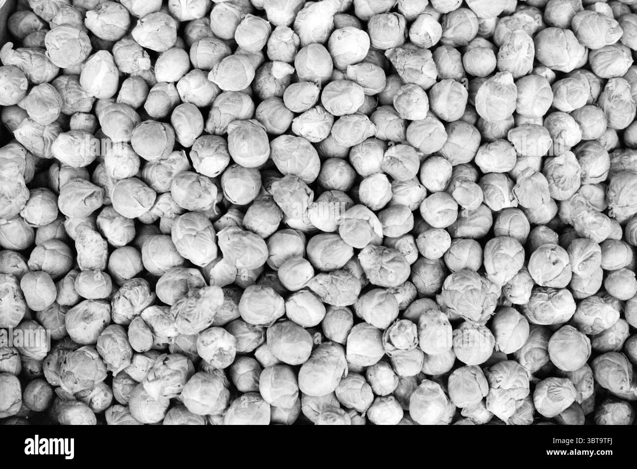Gemüse (Sprossen), Whizgle News, Dutch Desk, Niederlande, 1950 - 2000 am 15-01-1992. Das Bild enthält diese Themen. Die Szene ist gefüllt mit einer dichten Sammlung kleiner, runder Objekte, überwiegend in einer monochromatischen Graustufenpalette. Jedes Objekt hat eine leicht unregelmäßige Form, die an getrocknete Samen oder Hülsenfrüchte erinnert, mit einer strukturierten Oberfläche, die auf ein natürlich vorkommendes Muster hindeutet. Die Gesamtkomposition ist eng, die Objekte sind eng zusammengepackt, wodurch ein optisch reichhaltiger Wandteppich entsteht, der den Blick auf die Variationen von Licht und Schatten auf der Oberfläche lenkt. Die meisten davon Stockfoto