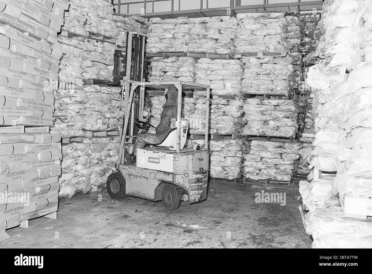 Keep Going Scholle IJmuiden Fisheries und andere Fischhändler Fishing, Whizgle News, Dutch Desk, Niederlande, 1950 - 2000 am 08-03-1977. Das Bild enthält diese Themen. Die Szene präsentiert ein Lagerhaus voller Aktivität, vermittelt aber auch ein Gefühl von Ordnung im Chaos. Hoch aufragende Stapel von Kisten und verpackten Paketen dominieren den Bereich und schaffen einen strukturierten Hintergrund, der eine Vielzahl von Artikeln anbietet, die für den Vertrieb gelagert werden. Die Farben sind gedämpft, vorwiegend Grautöne, mit gelegentlichen Anklängen von staubigem weiß und Beige aus den Verpackungsmaterialien, was dem Raum einen etwas indu verleiht Stockfoto