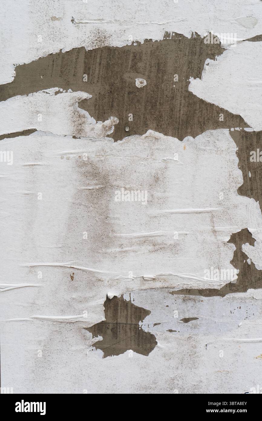 Eine abgeschälte, aufgerissene weiße Papierstruktur an einer Wand Stockfoto