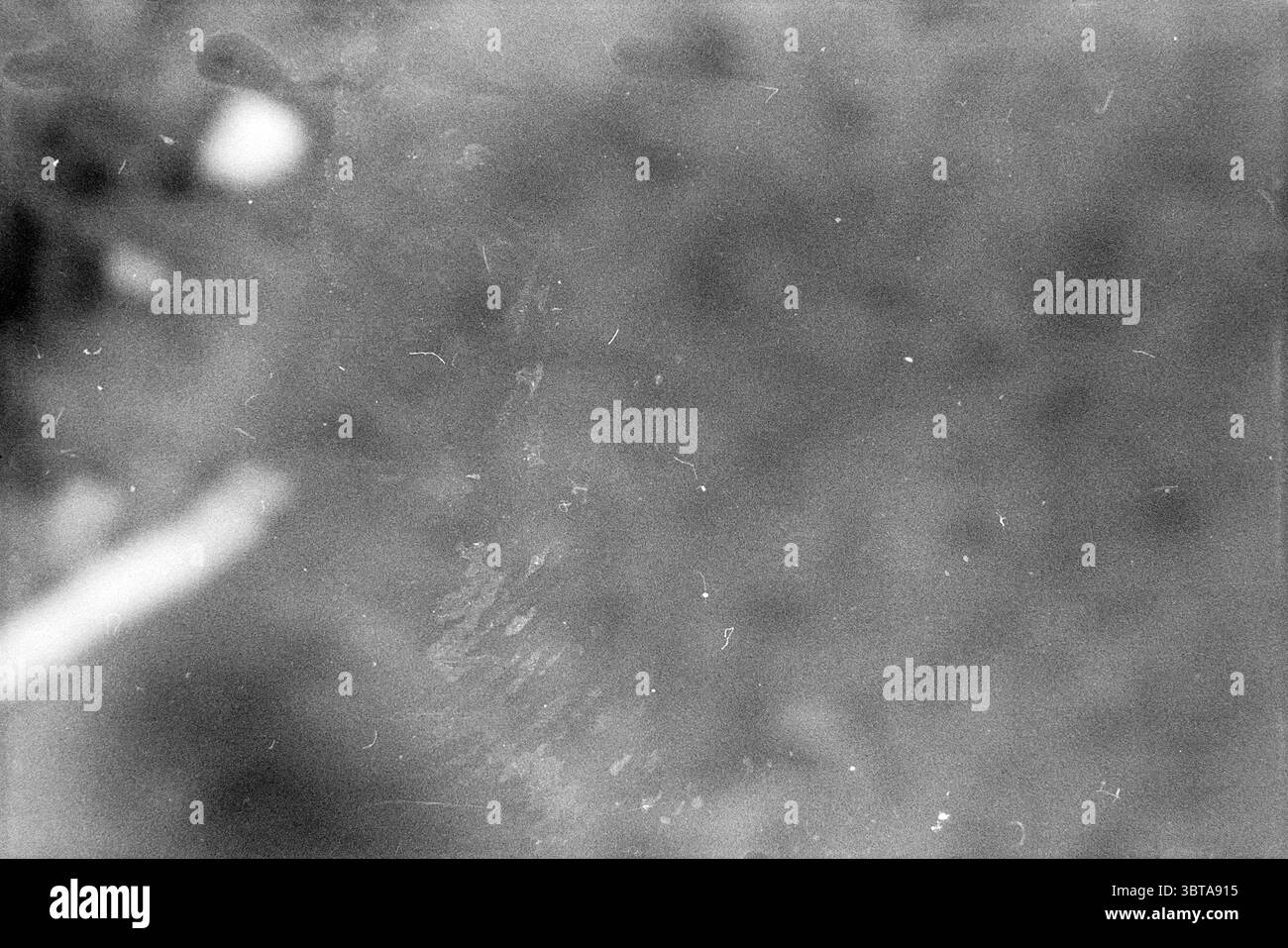 Holland Pop Festival in den Kralingse bos, das als niederländische Version des amerikanischen Woodstock Festivals in die Geschichte eingegangen ist. Mit Auftritten von Byrds Mungo Jerry Canned Heat und Jefferson Airplane Music Rotterdam, Whizgle News, Dutch Desk, Niederlande, 1950 - 2000 am 26. Juni 1970. Dies sind die Themen im Bild. Die Szene präsentiert eine überwiegend trübe und unscharfe Komposition, dominiert von Grautönen und gedämpften Tönen. Die Oberfläche erscheint körnig, was auf einen Mangel an scharfen Details hindeutet, was zu einer etwas atmosphärischen oder ätherischen Qualität beiträgt. Schwache Umrisse von undeutlichem SHA Stockfoto