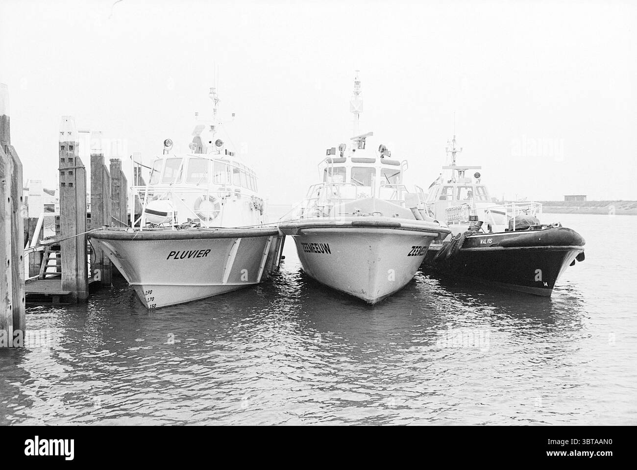 Lotsenboote Lotsdienst IJmuiden Lotsendienst, Whizgle News, Dutch Desk, Niederlande, 1950 - 2000 am 22-09-1977. Das Bild enthält diese Themen. Die Szene zeigt drei Schiffe, die eng aneinander an einem Yachthafen angedockt sind. Jedes Boot hat ein eigenes Design, wobei das erste einen schlanken weißen Rumpf und eine robuste Brücke aufweist, während das zweite eine robustere, eckige Form hat, die in Hellgrau lackiert ist. Das dritte ist ein kleineres, schwarzes Boot mit auffälligen Merkmalen, das möglicherweise für Agilität oder schnelle Reaktion ausgelegt ist. Das Wasser, das die Boote umgibt, ist ruhig und spiegelt die gedämpften Töne des Himmels ab wider Stockfoto