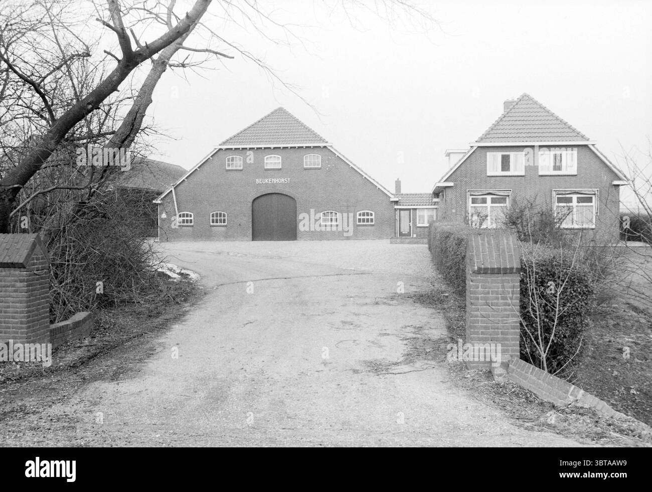 Beukenhorst Farm Farms Hoofddorp Rijnlanderweg the Netherlands, Whizgle News, Dutch Desk, Niederlande, 1950 - 2000 am 29-01-1986. Das Bild enthält diese Themen. Die Szene zeigt eine ländliche Umgebung, die durch zwei unterschiedliche Gebäude mit jeweils einer roten Ziegelfassade gekennzeichnet ist. Auf der linken Seite befindet sich eine große Scheune mit einem charakteristischen Spitzendach, die mehrere abgerundete Dachfenster aufweist, was ihr ein stabiles, traditionelles Aussehen verleiht. Der Eingang ist von einer großen bogenförmigen Öffnung eingerahmt, was darauf hindeutet, dass er für Lagerung oder Landwirtschaft genutzt werden kann. Neben der Scheune, rechts, steht ein kleineres, mehr Wohngebäude Stockfoto