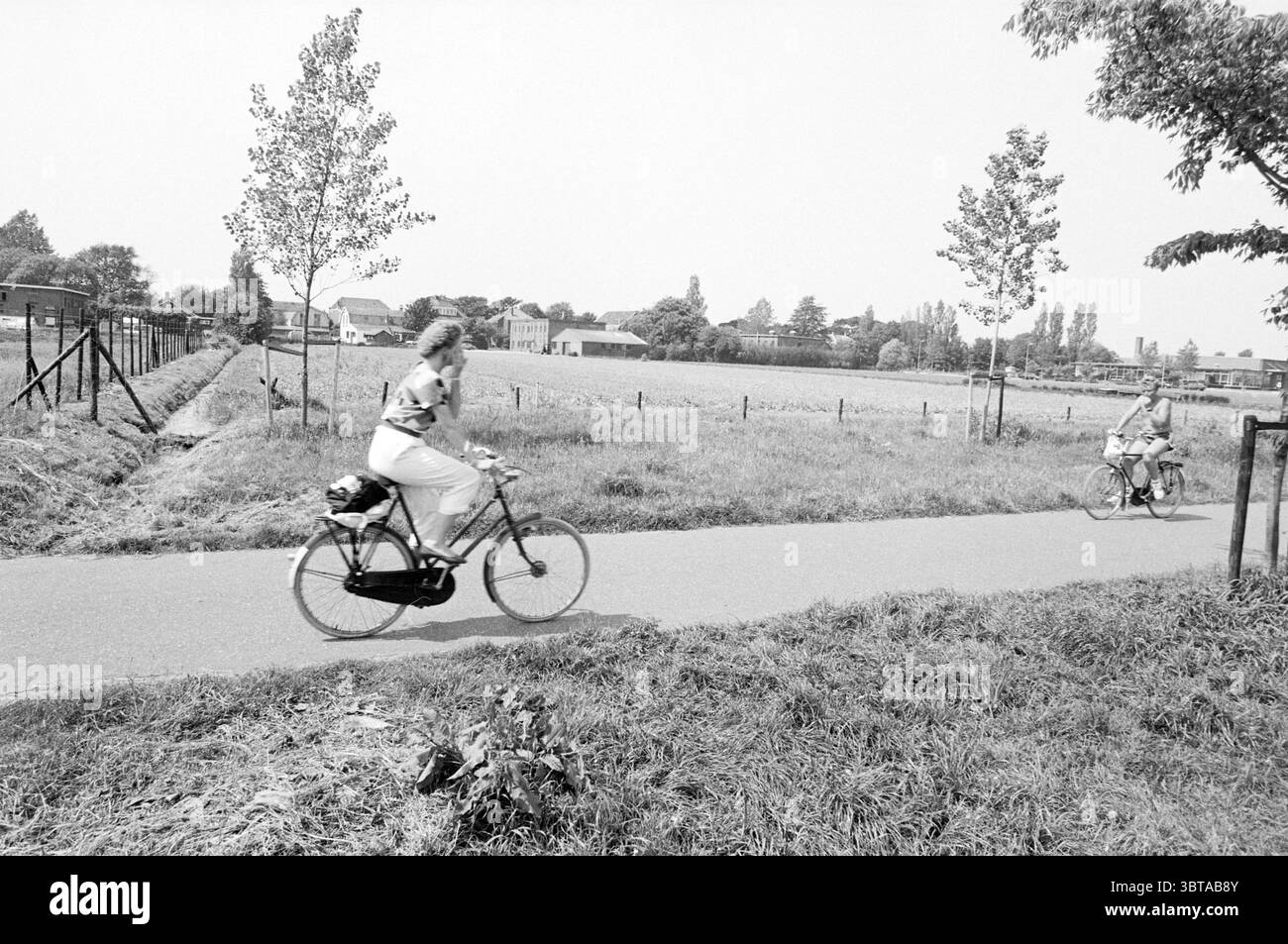 Zukünftige Lage der Häuser Hillegom Weeresteinstraat, Whizgle News, Dutch Desk, Niederlande, 1950 - 2000 am 04-06-1985. Dies sind die Elemente im Bild. Die Szene fängt eine ruhige Umgebung im Freien ein, die hauptsächlich durch einen breiten, gepflasterten Pfad geprägt ist, der sich durch eine üppige, grüne Landschaft erstreckt. Auf der einen Seite des Weges blühen lebendige Grasflächen, durchsetzt von jungen Bäumen, die einen Hauch von Leben und Ruhe bieten. Ihre dünnen, zarten Stämme stehen hoch und zeigen eine weiche Reihe von Blättern, die sanft im Wind flattern. Zwei Radfahrer stehen im Mittelpunkt der Komposition, beide Stockfoto