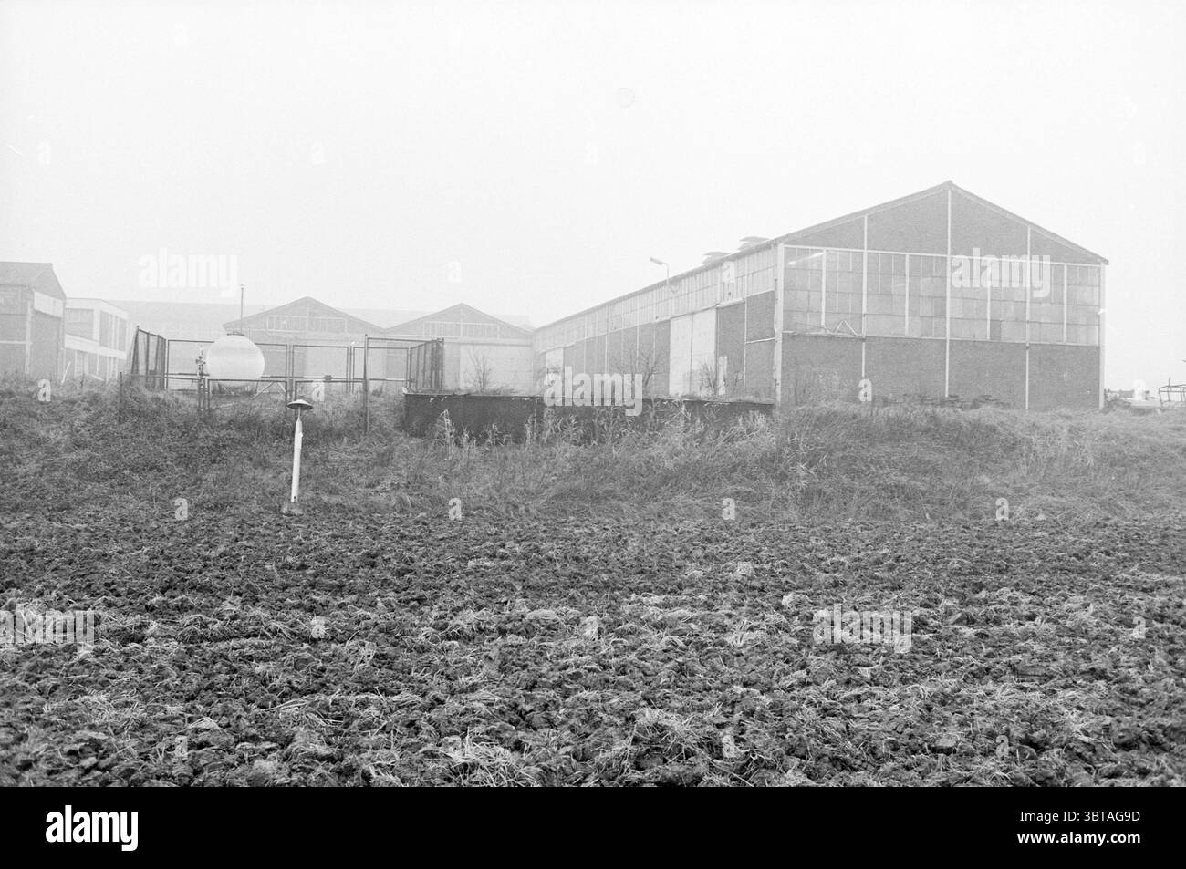 Stallungen für radioaktive Abfälle am Standort Stork Velsen, Lotsendienst Sheds Velsen, Whizgle News, Dutch Desk, Niederlande, 1950 - 2000 am 07-12-1982. Dies sind die Themen im Bild. Die Szene zeigt eine nebelige Umgebung, in der die Sicht deutlich eingeschränkt ist. Im Hintergrund sind mehrere große Industriebauten zu sehen, die sich durch ihre verglasten Dächer und Außenwände auszeichnen, die auf ein Gewächshaus oder eine Lagerstätte hinweisen. Die Gebäude werden vom Nebel überschattet, ihre Umrisse sind weicher und etwas verdeckt. Im Vordergrund befindet sich ein matschiges, unebenes Feld, das mit r markiert ist Stockfoto