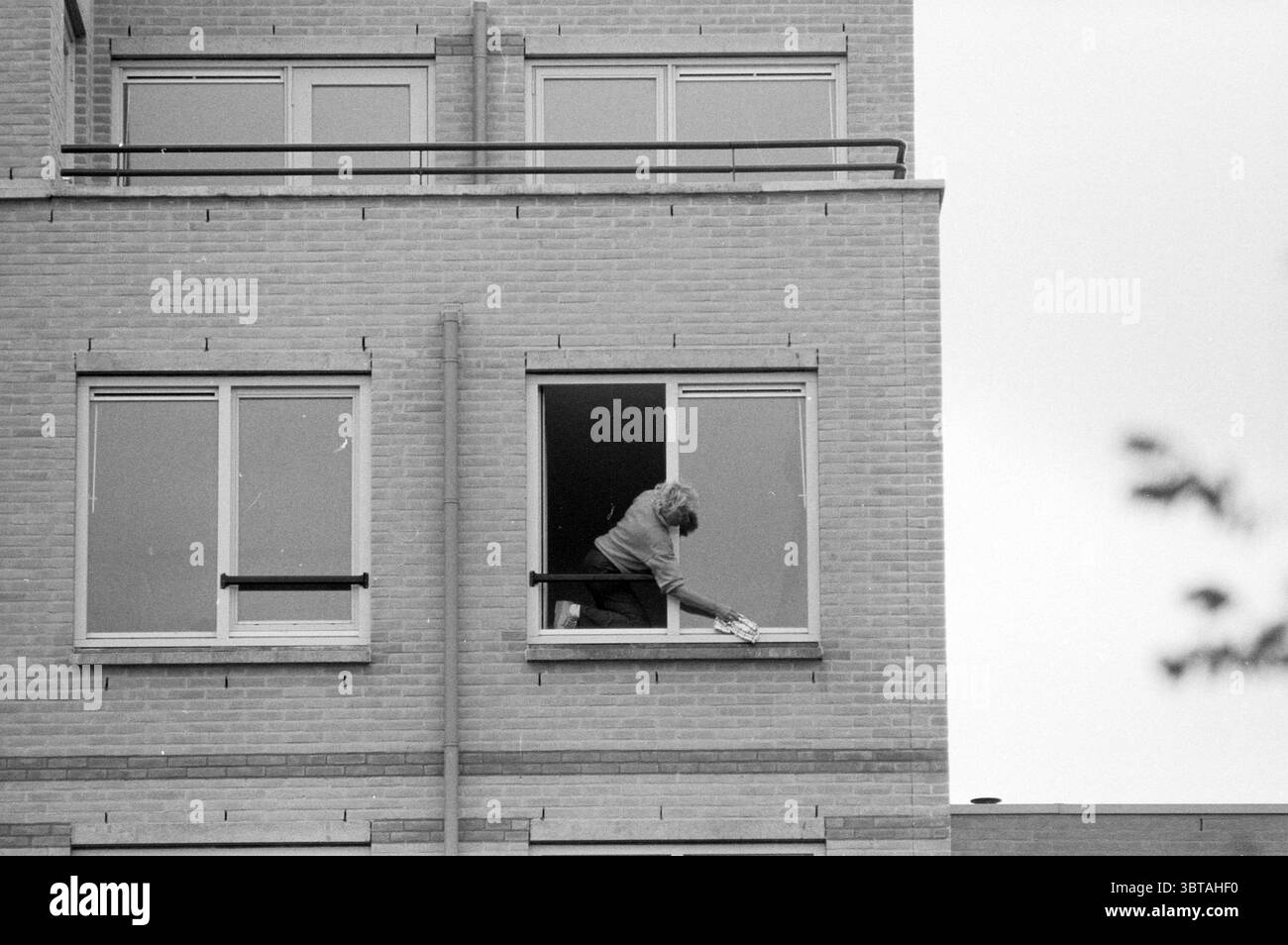 Fensterreinigung Velserbroek, Whizgle News, Dutch Desk, Niederlande, 1950 - 2000 am 09-06-1991. Das Bild enthält diese Themen. In der Szene lehnt sich eine Frau aus einem Fenster in einem oberen Stockwerk eines Backsteingebäudes. Sie scheint an einer Aufgabe beteiligt zu sein, indem sie mit gestrecktem Arm nach unten greift, möglicherweise um ein Objekt nach draußen zu holen oder zu platzieren. Das Gebäude selbst weist einen modernen architektonischen Stil auf, der durch klare Linien und ein sich wiederholendes Fensterdesign gekennzeichnet ist, wobei jedes Fenster symmetrisch ausgekleidet ist. Die Frau hat helles Haar, das locker gestylt ist, und sie trägt lässiges Tuch Stockfoto