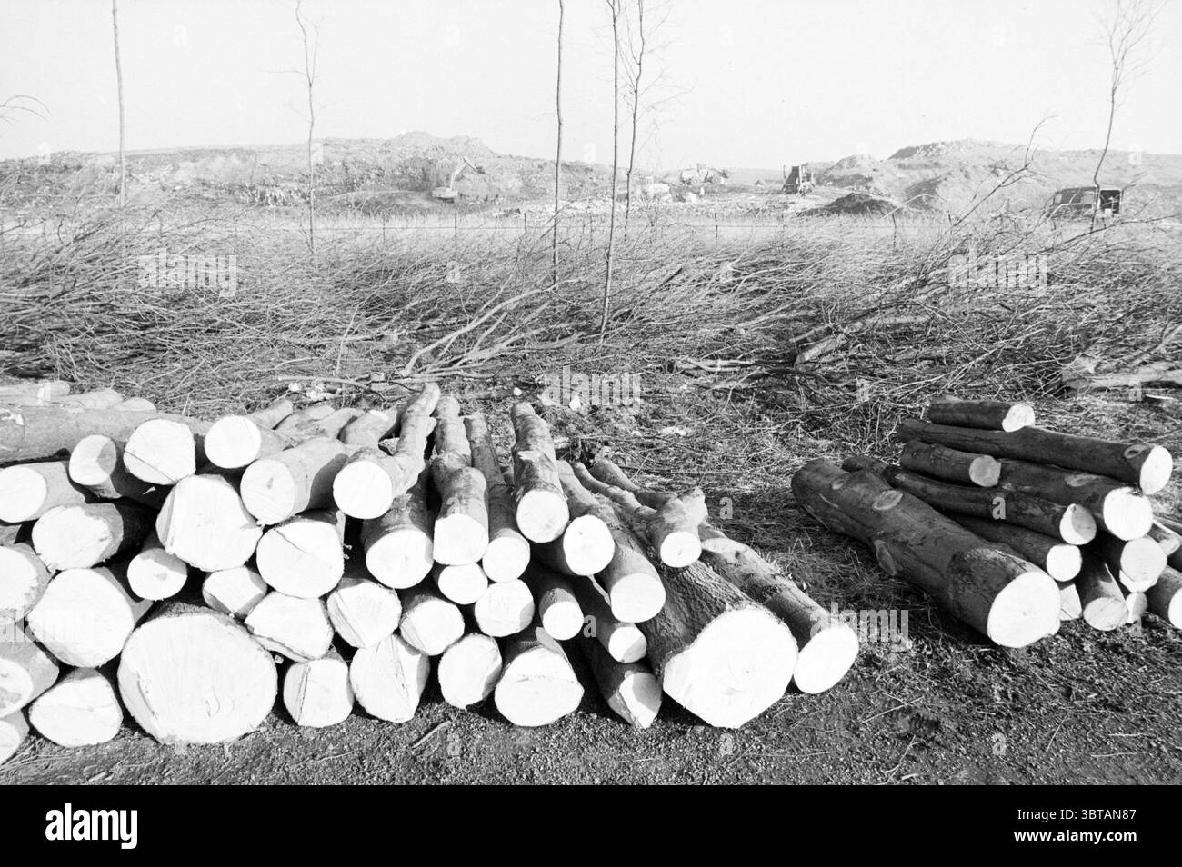 Bäume hinter Müllhalde abschneiden Spaarnwoude Trees Spaarnwoude, Whizgle News, Dutch Desk, Niederlande, 1950 - 2000 am 08-02-1989. Diese Themen sind in der Abbildung dargestellt. Die Szene bietet eine raue Outdoor-Umgebung, in der Baumstämme ordentlich auf dem Boden gestapelt werden, was ein Gefühl der Ordnung inmitten des natürlichen Chaos schafft. Zwei Holzstapel dominieren den Vorderboden, wobei der linke Holzstapel aus dickeren, quergeschnittenen Stämmen leicht zufällig angeordnet ist, deren runde Enden helle Holztöne zeigen, die sich der dunkleren Rinde entgegensetzen. Der rechte Stapel enthält einen kleineren Stapel kürzerer Protokolle, Addin Stockfoto