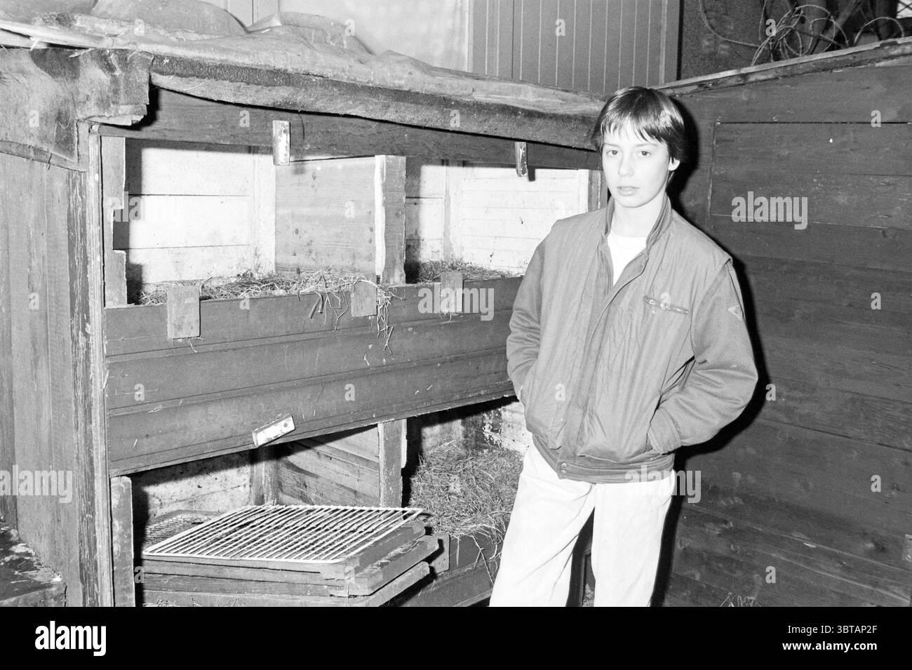 Hans de Vries in einer leeren Kaninchenhütte Haarlem Animals Haarlem the Netherlands, Whizgle News, Dutch Desk, Niederlande, 1950 - 2000 am 13.12.1984. Das Bild enthält diese Themen. Die Szene zeigt eine junge Person, die neben einem rustikalen Holzbau steht, wahrscheinlich einem Schuppen oder Viehstall. Das Gebäude hat ein verwittertes Aussehen, verstärkt durch dunkelbraunes Holz, das Zeichen von Alter und Gebrauch zeigt. Es gibt ein schräges Dach, etwas heruntergekommen, was ihm einen charmanten, aber abgenutzten Charakter verleiht. Die Person steht mit einem etwas neutralen Ausdruck und trägt ein lässiges, helles Outfit, das einen Kontrast zu Stockfoto