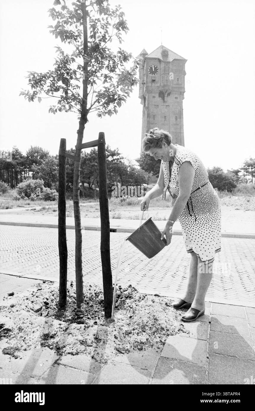 Bewässerung von Bäumen von Bewohnern von IJmuiden Trees IJmuiden the Netherlands, Whizgle News, Dutch Desk, Niederlande, 1950 - 2000 am 03-08-1982. Dies sind die Themen im Bild. In dieser Szene ist eine Frau dabei, einen jungen Baum zu tränken. Sie steht neben einem frisch gepflanzten Setzling, der von zwei Holzpfählen gestützt wird. Die Frau trägt ein gepunktetes Kleid mit einem hellen und dunklen Muster, das zu einem Gefühl von Vintage-Stil beiträgt. Ihre Schuhe sind dunkel und schlicht und ergänzen den Gesamtton des Outfits. Die Umgebung ist draußen, mit einer riesigen Weite von Pflastersteinen unter ihren Füßen, Ledin Stockfoto