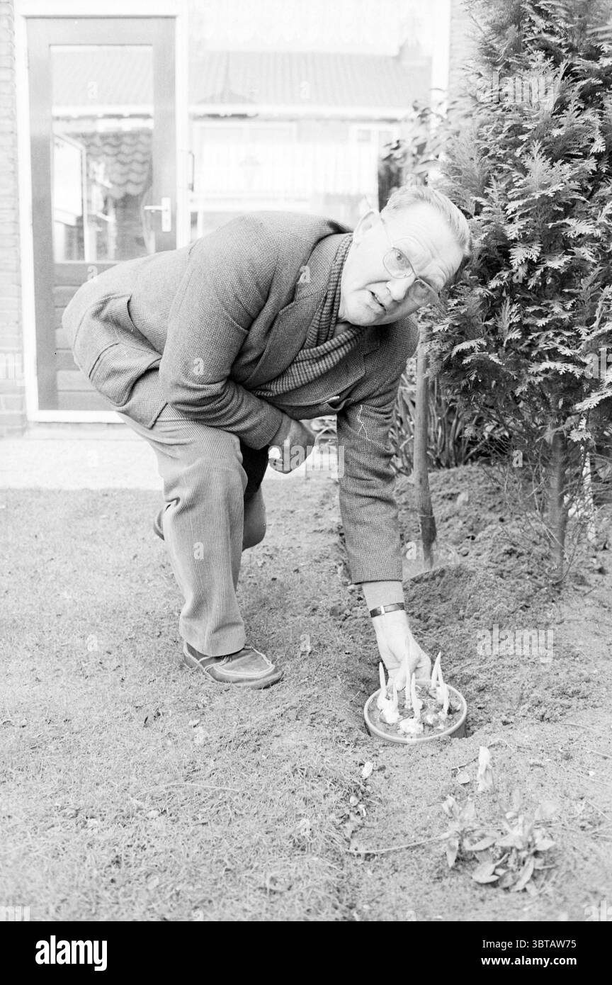Gedichtsammlung von Herrn van der Vlugt Santpoort Persons Writing Persons Santpoort, Whizgle News, Dutch Desk, Niederlande, 1950 - 2000 am 18.01.1984. Das Bild enthält diese Themen. In einem Garten kniet ein älterer Herr auf einem grünen Gras. Er hat einen nachdenklichen Ausdruck, da er zu einem kleinen Arrangement neigt, das aus einem Teller besteht, der zarte Blumen enthält. Seine Kleidung besteht aus einem taillierten Blazer über einem dicken Pullover, was ihm ein klassisches, etwas formelles Aussehen verleiht. Der Stoff seiner Kleidung ist strukturiert, was der Szene Tiefe verleiht. Um ihn herum, der Ga Stockfoto