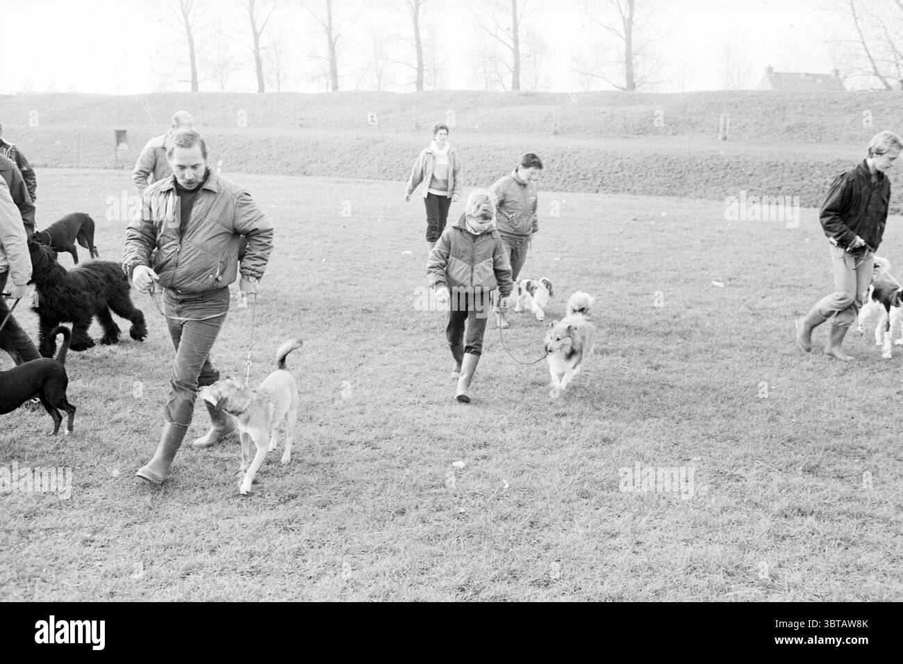 Hundeschulungsprüfung Hoofddorp Dogs Hoofddorp Niederlande, Whizgle News, Dutch Desk, Niederlande, 1950 - 2000 am 10-11-1984. Das Bild enthält diese Themen. In einem grasbewachsenen Park macht eine Gruppe von Individuen einen gemütlichen Spaziergang mit mehreren Hunden. Die Einstellung scheint bedeckt zu sein, was der Szene eine stummgeschaltete Qualität verleiht. Die Menschen tragen praktische, legere Kleidung, die für Outdoor-Aktivitäten geeignet ist; einige tragen Jacken und Stiefel, um sich warm zu halten. Einige werden von Kindern begleitet, die die Aktivitäten des Spaziergänges mit den Hunden teilen. Die Gesichtsausdrücke reichen von entspannt bis fröhlich, cr Stockfoto