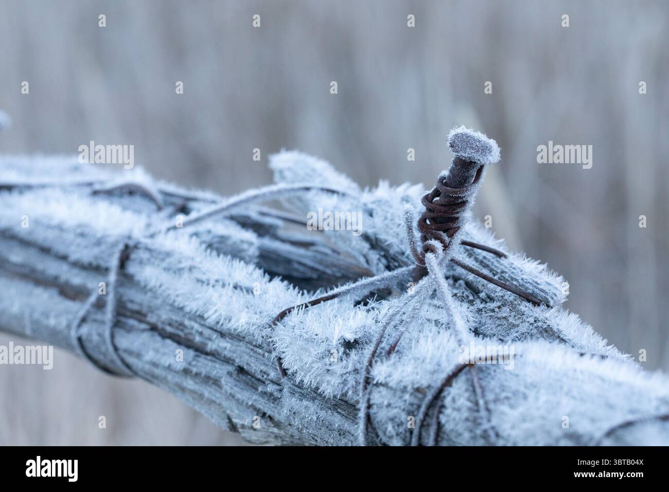 Ranch Frost Im Nordosten Von Nevada Stockfoto