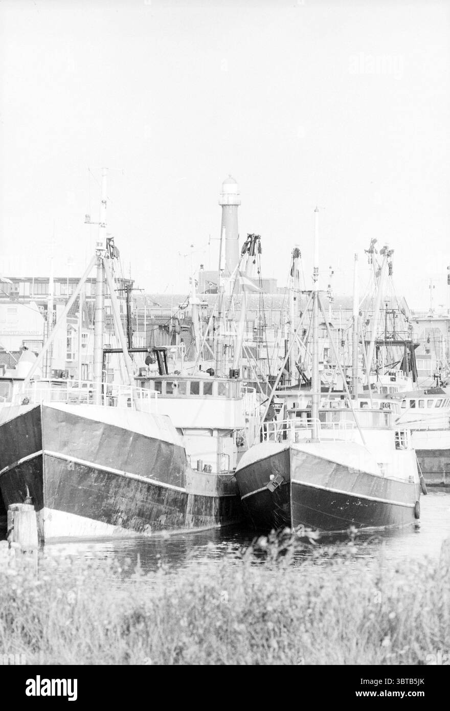 Fischereischiffe im Hafen von IJmuiden IJmuiden Niederlande, Whizgle News, Dutch Desk, Niederlande, 1950 - 2000 am 21-08-1991. Das Bild enthält diese Themen. Die Szene fängt einen belebten Hafen mit einer Vielzahl von Fischereifahrzeugen ein. Die vorwiegend in dunklen Blau- und Schwarztönen gemalten Boote sind eng vertäut, ihre Rümpfe spiegeln sich sanft im ruhigen Wasser. Im Hintergrund steht ein alter Leuchtturm hoch und stolz, der in scharf weiß vor den dunkleren Strukturen benachbarter Gebäude gemalt ist. Der Leuchtturm mit seiner unverwechselbaren Form sorgt für ein klassisches maritimes Flair Stockfoto