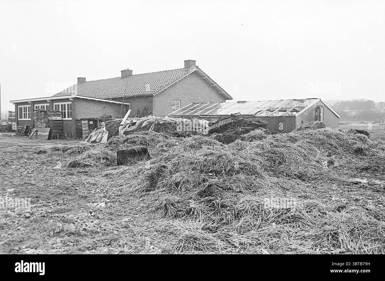 Gärtnerei Schaden, Whizgle News, Dutch Desk, Niederlande, 1950 - 2000 am 10-1967. Diese Themen sind in der Abbildung dargestellt. Die Szene zeigt eine ländliche Landschaft, die von einer Struktur dominiert wird, die verwittert und utilitarisch wirkt. Das aus Ziegeln gebaute Hauptgebäude hat ein einfaches, funktionales Design mit einem Giebeldach, das mit Fliesen bedeckt ist. Mehrere Fenster, einige mit leicht verfärbten Rahmen, deuten darauf hin, dass der Innenraum durch weiches, diffuses Licht beleuchtet wird. Neben diesem Gebäude befindet sich ein großes, provisorisches Gewächshaus oder Schuppen, dessen Dach teilweise mit transparenten Paneelen bedeckt ist, die eine Stockfoto