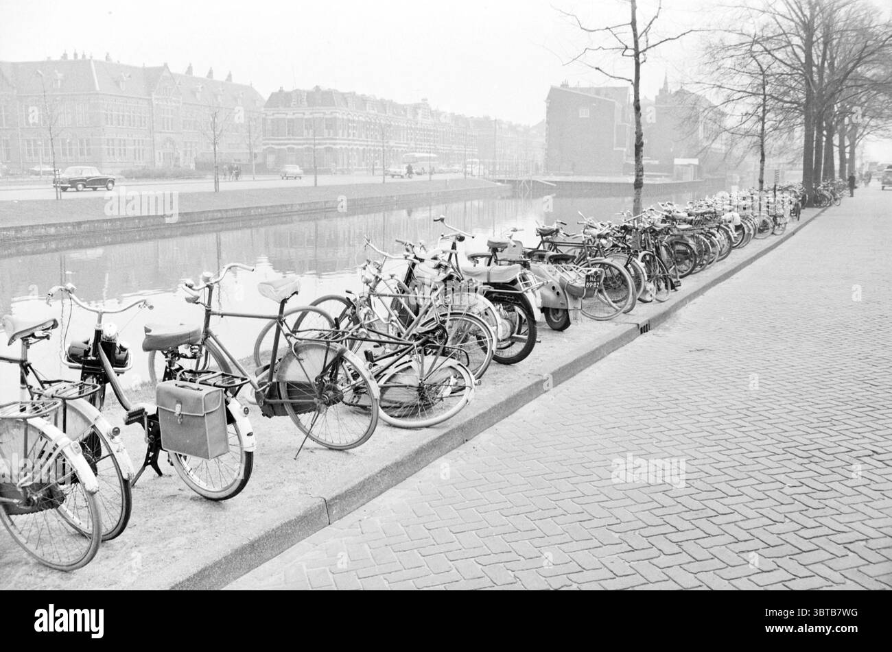 Trotz des Verbots parken Fahrräder auf dem Gehweg entlang des Leidsevaart Haarlem Niederlande ., Whizgle News, Dutch Desk, Niederlande, 1950 - 2000. Das Bild enthält diese Themen. Die Szene zeigt eine ruhige, gedämpfte Umgebung, die durch eine dicke Nebelschicht gekennzeichnet ist. Eine lange Reihe von Fahrrädern, die eng aneinander geparkt sind, nimmt den Vordergrund ein. Ihre vielfältigen Designs und Farben reichen von klassischen schwarzen Rahmen bis hin zu Pastelltönen, obwohl der Gesamteffekt der Szene in Grautönen registriert wird und zu einem nostalgischen Ambiente beiträgt. Die Einstellung umfasst einen breiten, asphaltierten Gang, der parallel verläuft Stockfoto