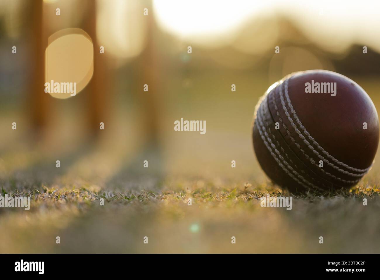 Brauner Cricketball aus Leder, der in der Nähe von Stümpfen auf einem grasbewachsenen Feld liegt, Sonnenlicht schafft goldenes Bokeh Stockfoto