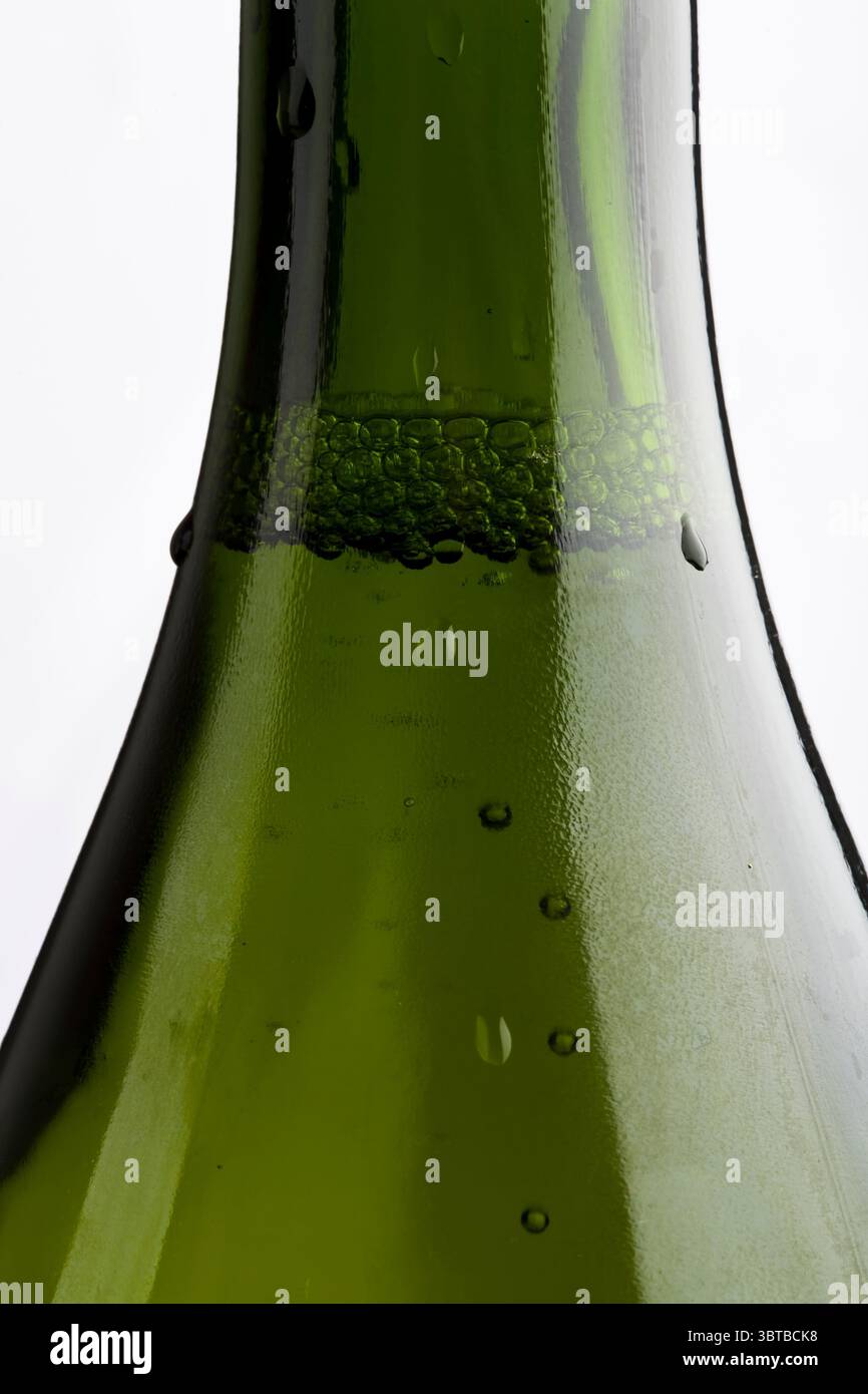 Sektflasche Nahaufnahme des Halses vor reinweißem Hintergrund Studio-Aufnahme Stockfoto