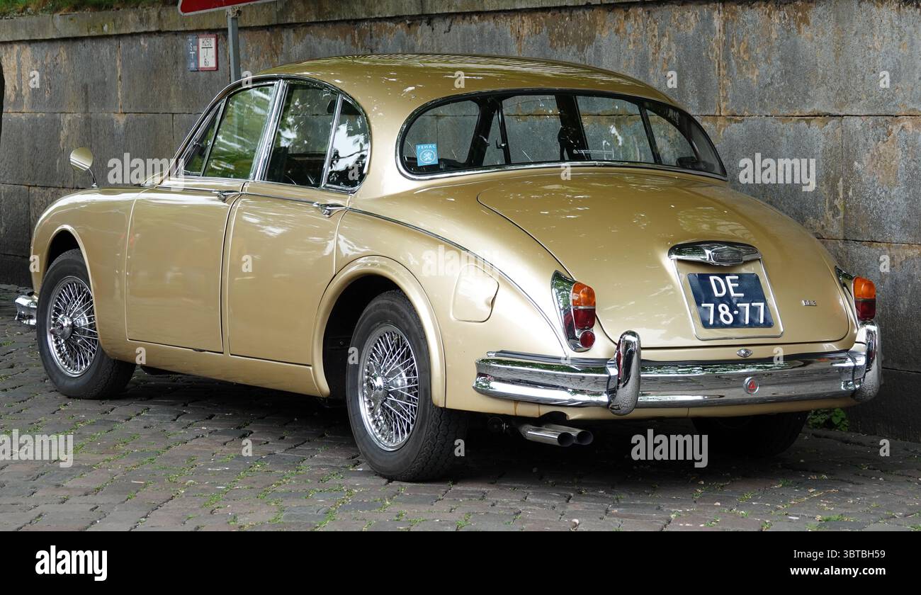 Bad Bentheim, Deutschland - 4. Mai 2025 das Heck eines Golden Jaguar Mark 2 - 3,4 L von 1965. Es steht auf einer alten Straße Stockfoto