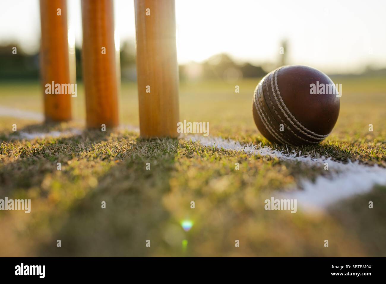 Cricketball und Stümpfe ruhen auf weißem Falten auf dem Cricketfeld unter goldenem Sonnenuntergang Stockfoto