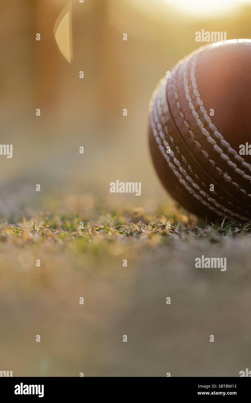 Cricketball aus abgenutztem Leder auf kurzem Gras auf dem Cricketfeld mit weichem, goldenem Linsenfleck Stockfoto