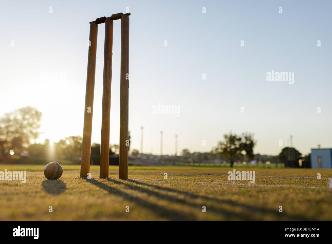 Holzgricketstümpfe und -Ball werfen am späten Nachmittag lange Schatten auf dem sonnendurchfluteten Rasenplatz Stockfoto