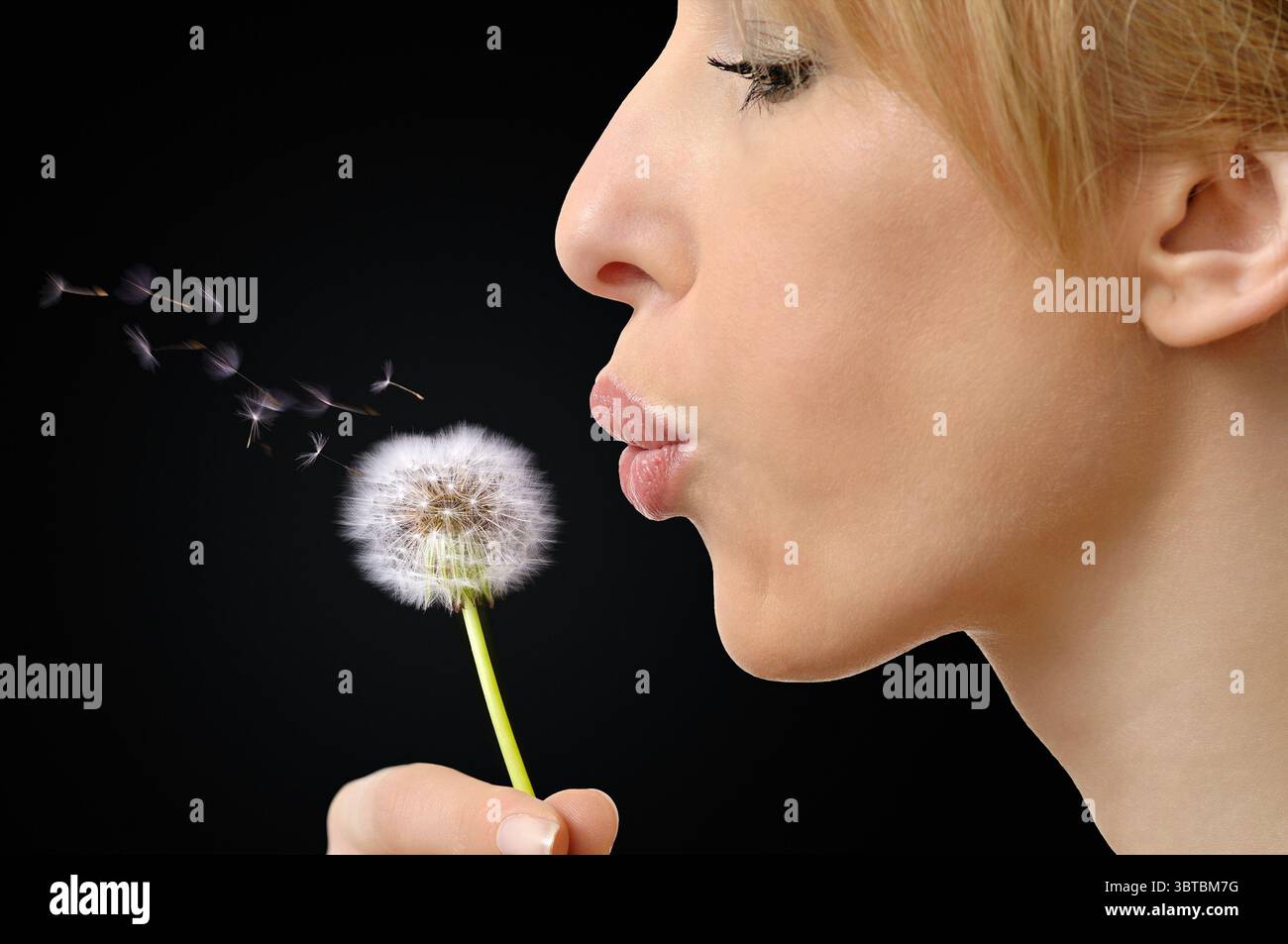 Frau bläst Löwenzahnsamen Stockfoto