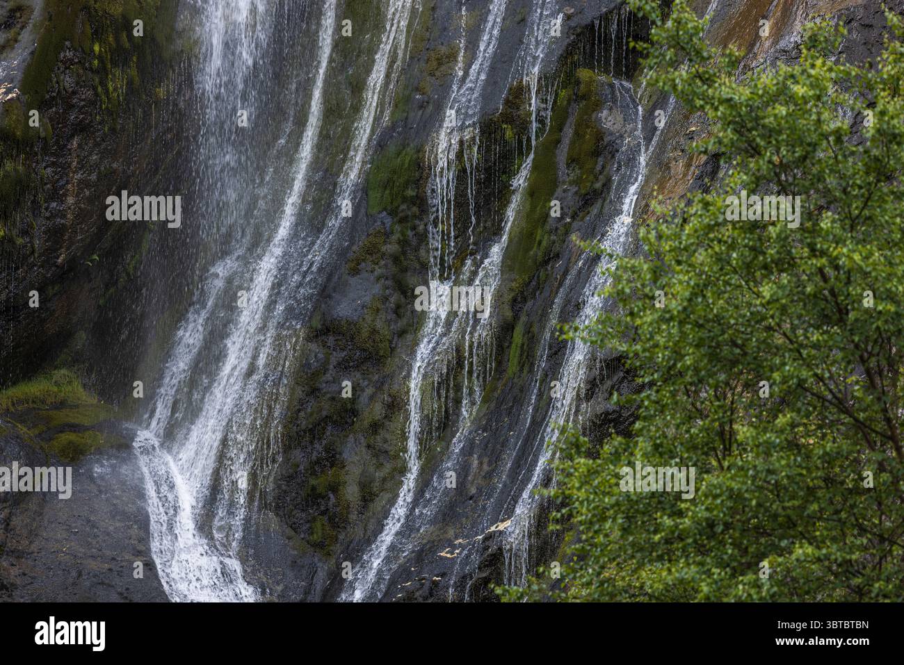 Powerscourt Wasserfall in Enniskerry, County Wicklow, Irland, Stockfoto