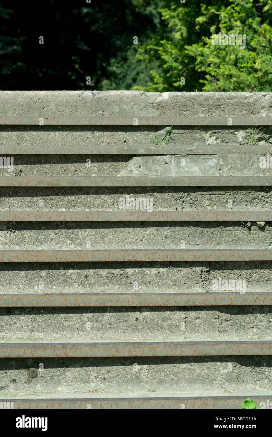 Botanischer Landschaftspark an einem hellen sonnigen Frühlingstag, natürliche Illustration, Pflanzenhintergrund. Stockfoto