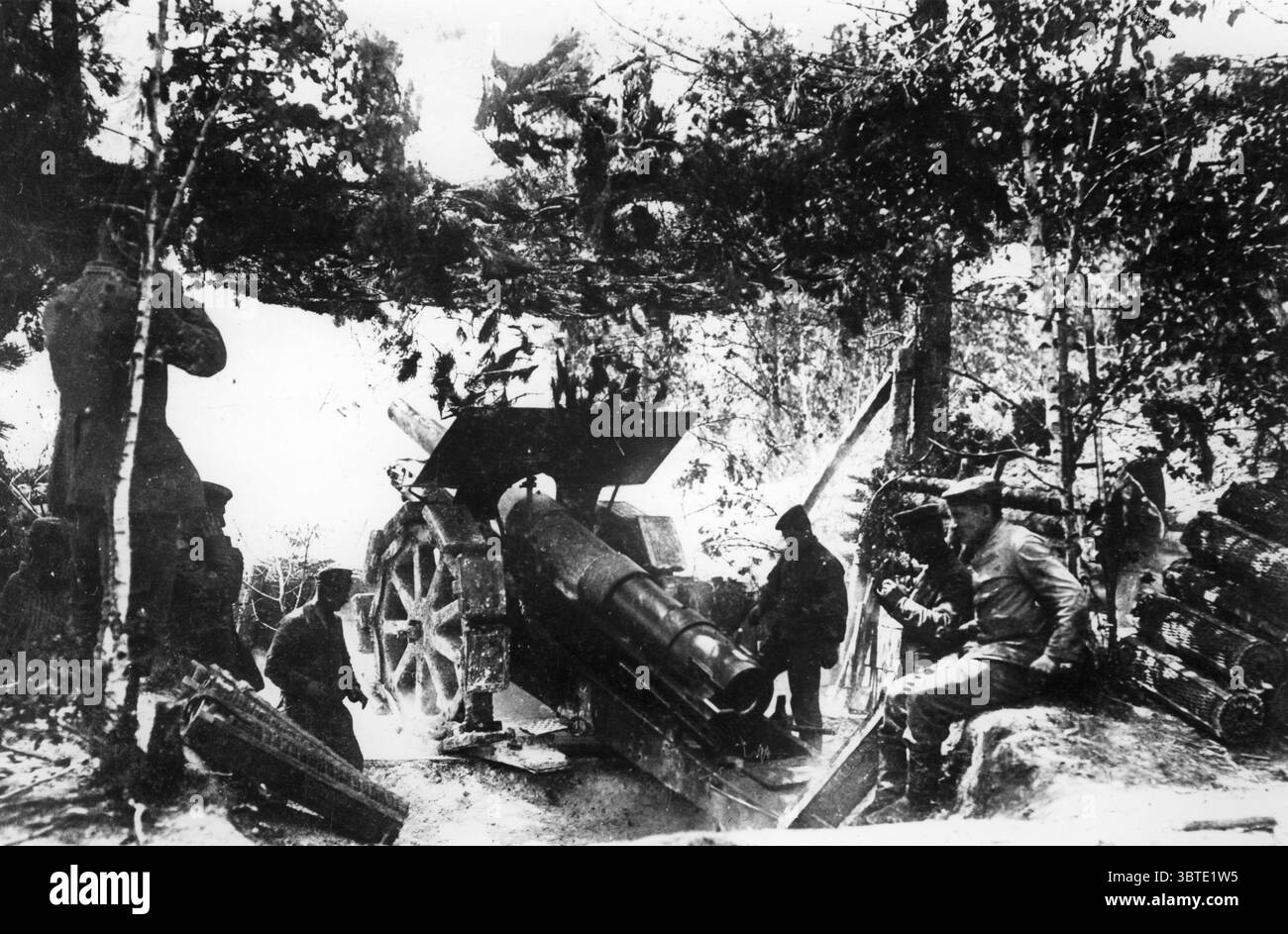 Deutsche große Kanonenposition in der Champagne die Kanone ist im vollen Rückschlag. Darüber befindet sich ein Bildschirm aus Netz und Laub Stockfoto