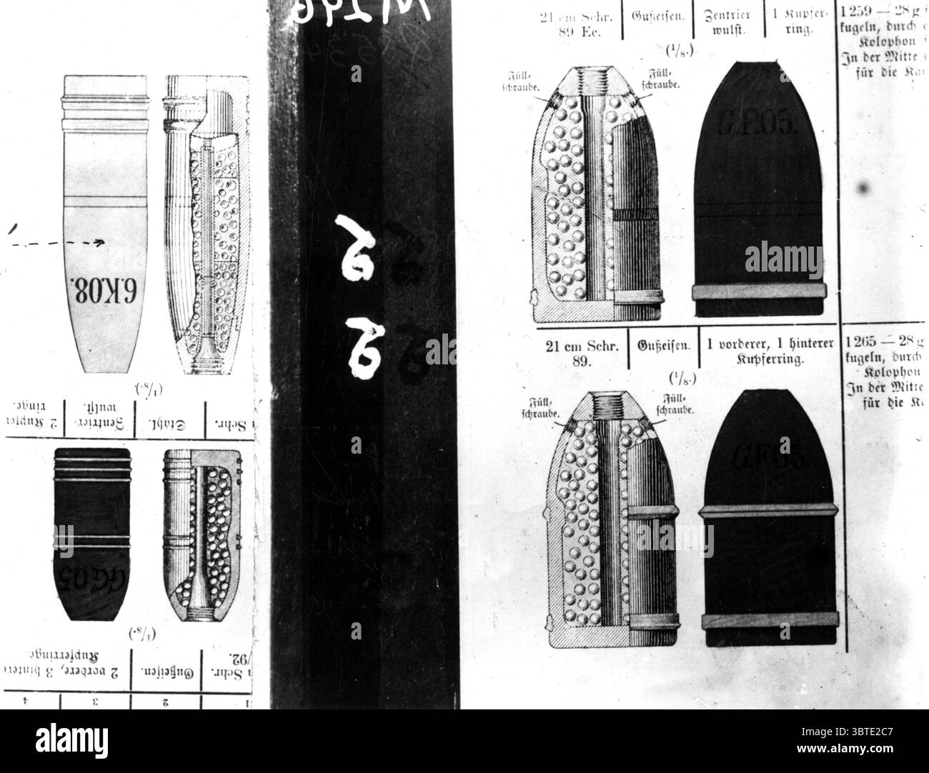 Schalenquerschnitte. Stockfoto