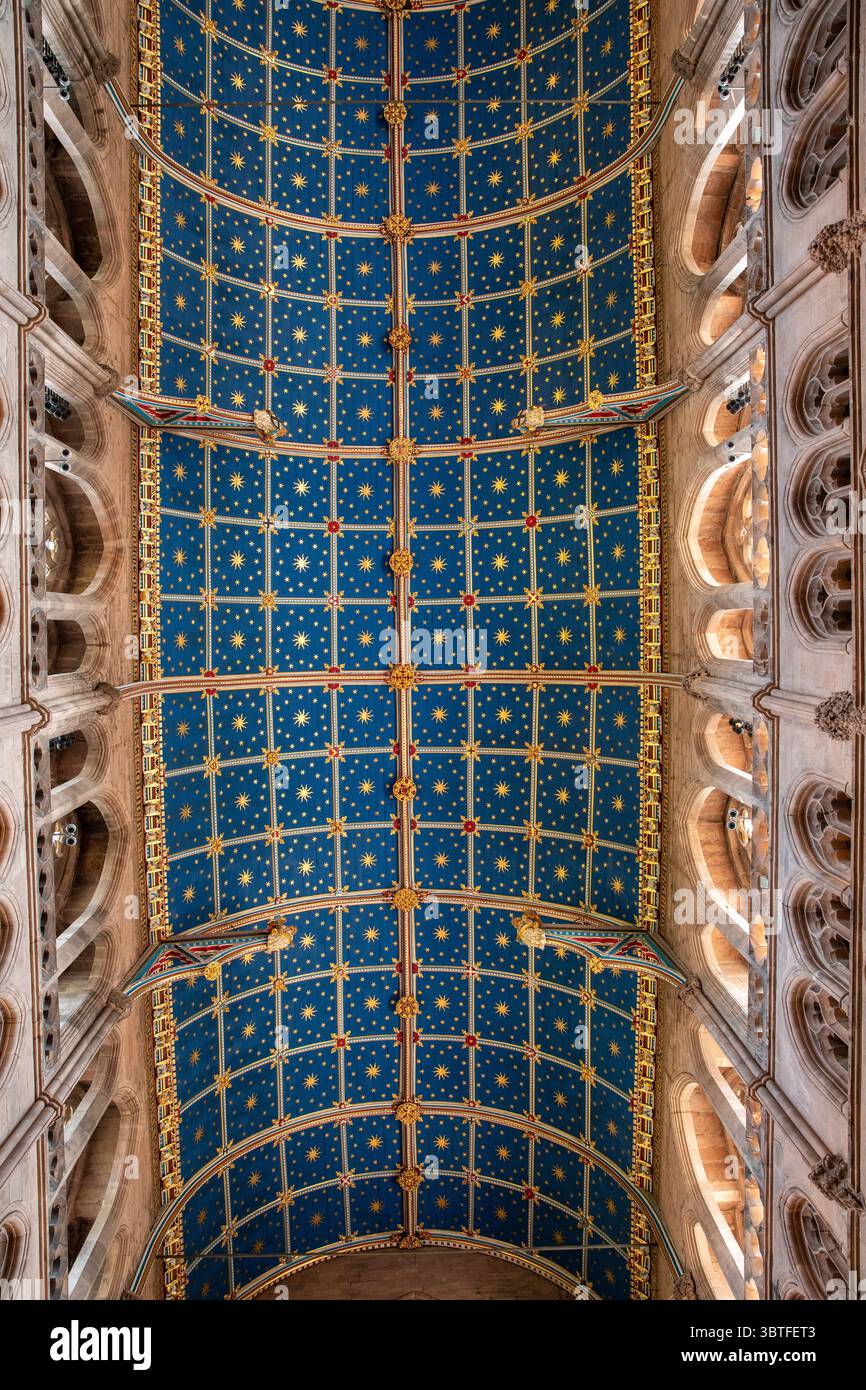 Großbritannien, England, Cumbria, Carlisle, Kathedrale, Chire, sternengewölbte Decke Stockfoto