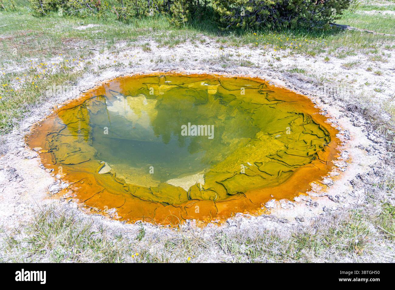 Morning Glory Pool ist eine berühmte heiße Quelle in der Morning Glory Group des Upper Geyser Basin Yellowstone Nationalpark ist ein Nationalpark Stockfoto