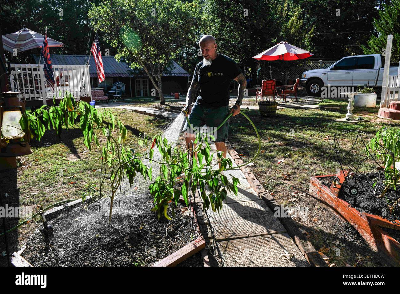 16. September 2019, Dahlonega, Georgia, USA: Doles bewässert seinen Garten mit Gurken, Paprika und Chilis, die er erntet, um Salsa und Gurken zu machen. Sein tägliches Leben ist ganz normal und schneidet sich manchmal mit dem multikulturellen Amerika, das er fürchtet. (Bild: © Miguel Juarez Lugo/ZUMA Wire) Stockfoto