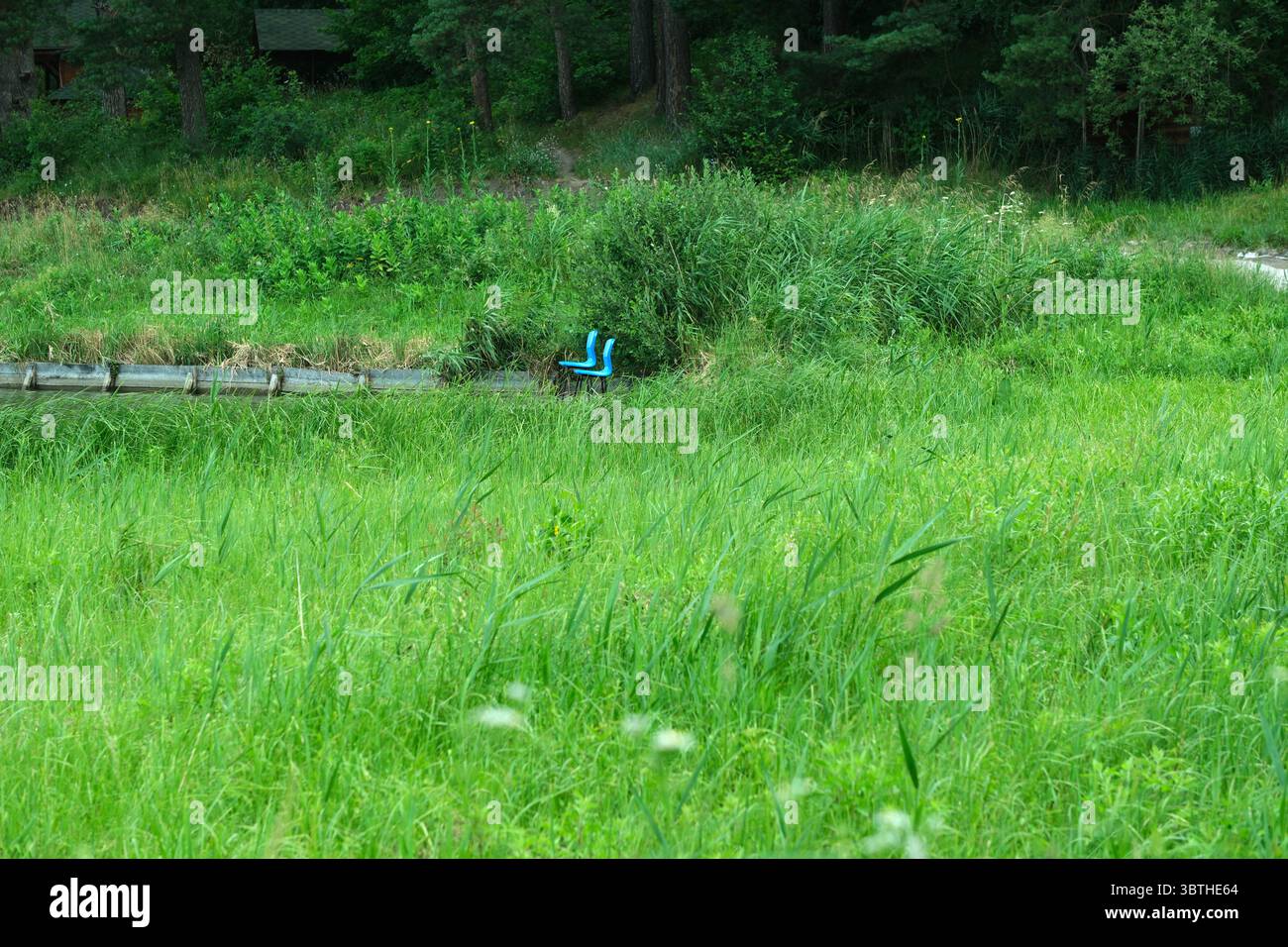 Eine grasbewachsene Wiese mit blauen Rohren in der Nähe eines bewaldeten Gebiets. Stockfoto