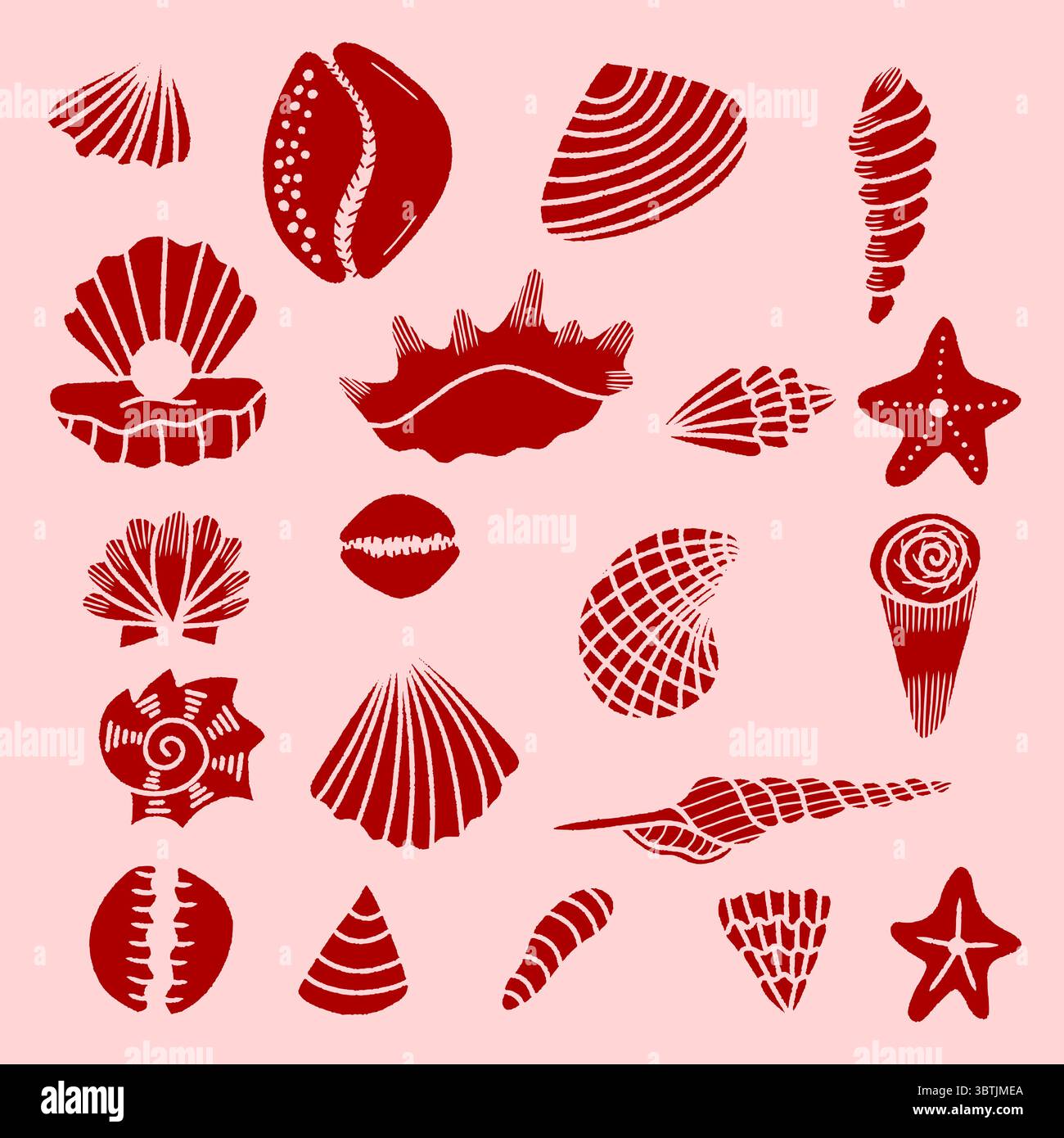 Handgezeichnete Vektor-Illustration von Muscheln und Seesternen, Muschelkollektion, Sommer Reise Marine Kit. Unterwasser-Muschelset, Doodle Outline Stock Vektor